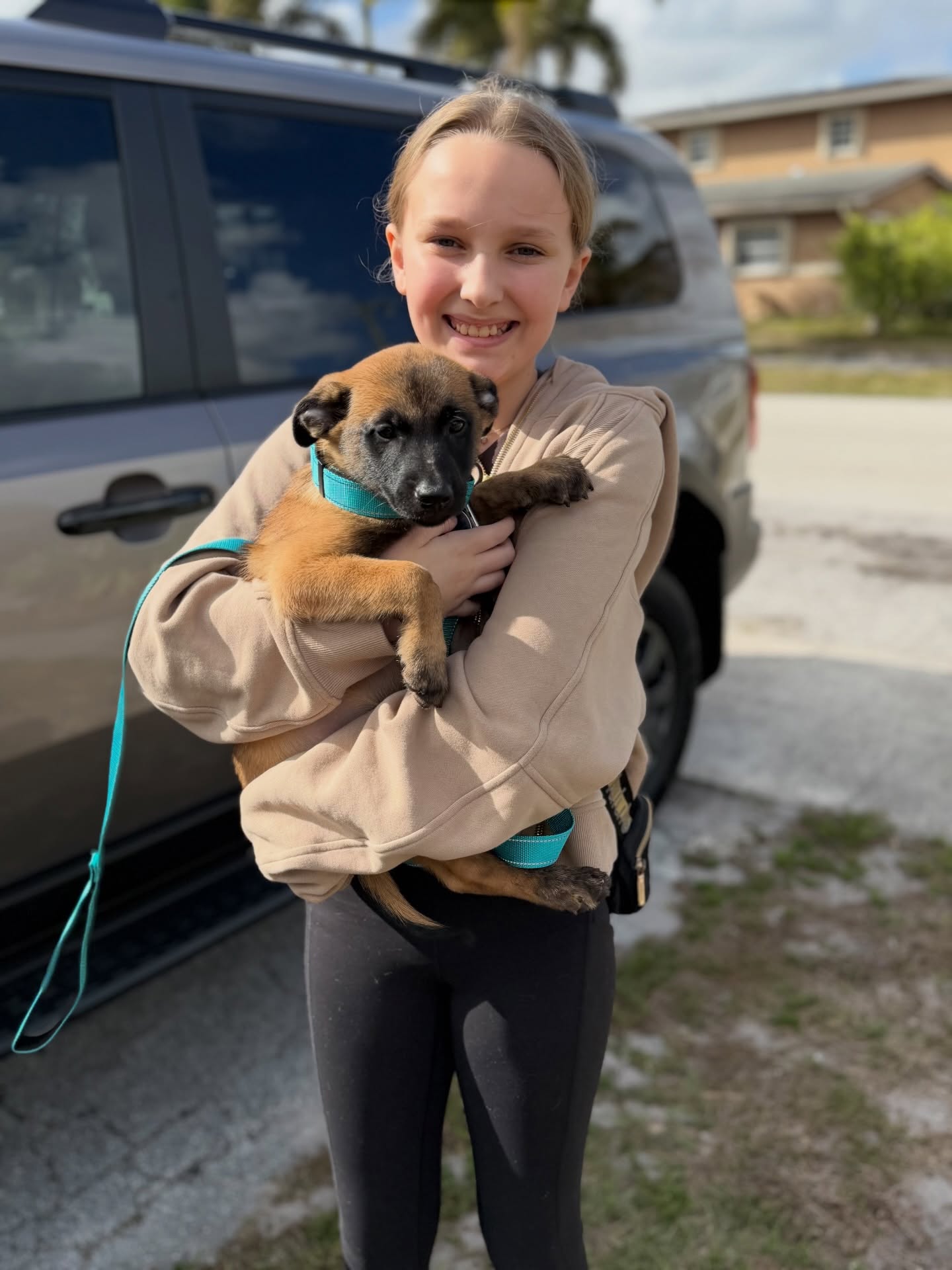 Another baby off to do amazing things!
Celine, now Clarabelle, is off to be a gluten detection dog (service dog). They’ll be local so I’ll have the opportunity to see her grow 🩵
Clarabelle vd Hunde der neuen Äre “Clarabelle”
•
•
#belgianmalinois #malinois #workingdog #servicedog