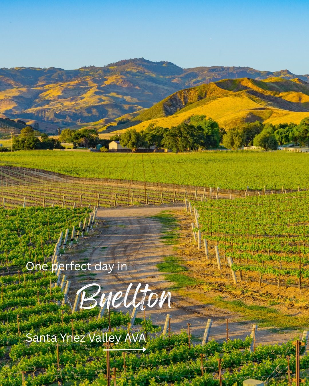 This is the perfect no-stress, no-crowds Santa Ynez Valley wine itinerary.📆
If you want an insider-feeling day without Napa-level crowds, here’s a perfectly paced plan:
🍳Breakfast in Buellton
• Ellen's Danish Pancake House – Perfect Danish pancakes + strong coffee
@ellensdanishpancakehouse
🍷Winery Experience
• Kaena at The Ranch – Relaxed ranch setting just outside town
@kaenawines
🍕Lunch in Buellton
• Industrial Eats – Wood-fired everything, share the pizza
@industrialeats
🍷Walkable Tasting Rooms
• Buscador Wine – Small-lot Rhône varietals @buscadorwine 🤙
• Tierra y Vino – Boutique, personal tastings @tierrayvino
• Esfuerzo Wines – Spanish varieties, bold flavors @esfuerzowines
🍖Dinner
• Hitching Post 2 – Santa Maria–style BBQ + Syrah
@hitchingpost2
Low-key. Great wines & food. Full of personality.
🔖Save this for your Santa Ynez Valley trip planning.
#SantaYnezValley #BuelltonCA #Solvang #CaliforniaWineTravel #WineCountryItinerary