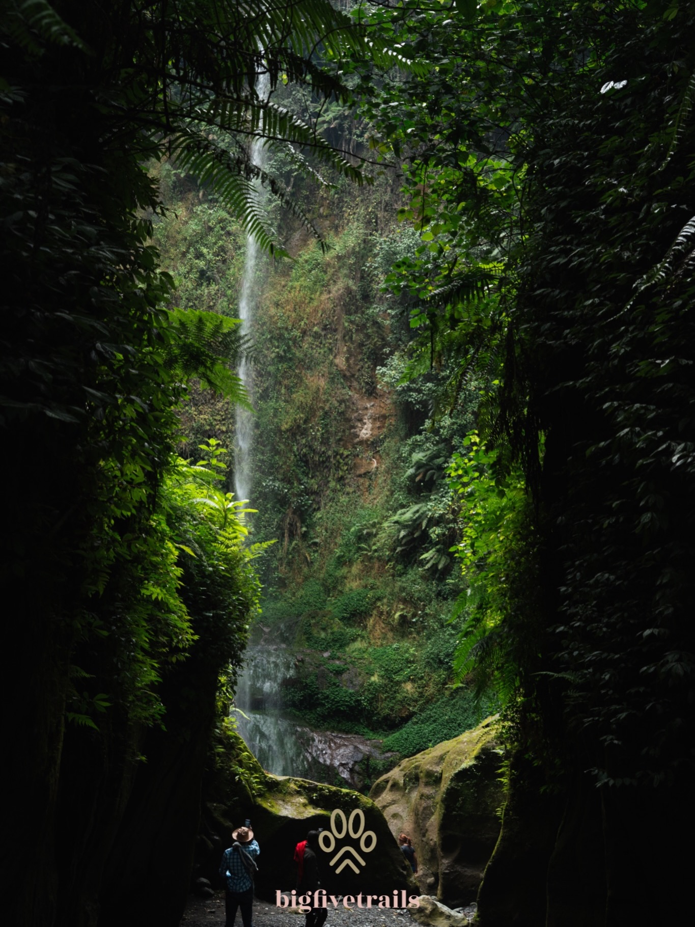 If you have a free morning in Arusha, Napuru Waterfall (Mount Meru Waterfall) is a must-visit. Just a 30-minute drive from the city center, this hidden gem drops a staggering 70 meters into a lush volcanic crater.
What to expect:
🥾 A moderate 1.5-hour round-trip hike.
🐒 Sightings of Black and White Colobus monkeys.
☕ Trails winding through local coffee and banana farms.
💦 A refreshing (and very chilly!) mountain pool at the base.
Pro-Tip: Wear sturdy shoes! The “Napuru” mist makes the rocks near the falls slippery, but the view is worth every step.
📍 Save this for your next trip to Tanzania!
#whattodoinarusha #waterfall #guiaenespañoltanzania #bigfivetrails #quehacerenarusha