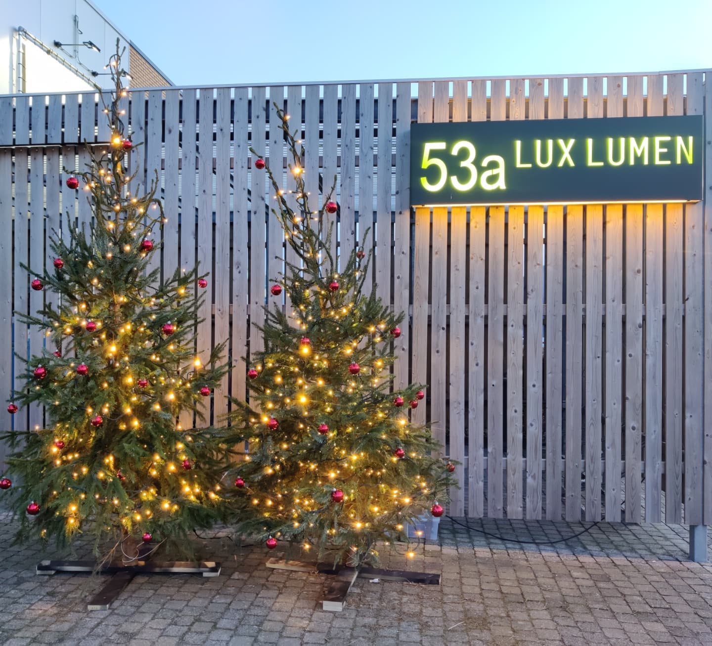 Ready for the jolly time of the year 🧑🎄☃️🦌