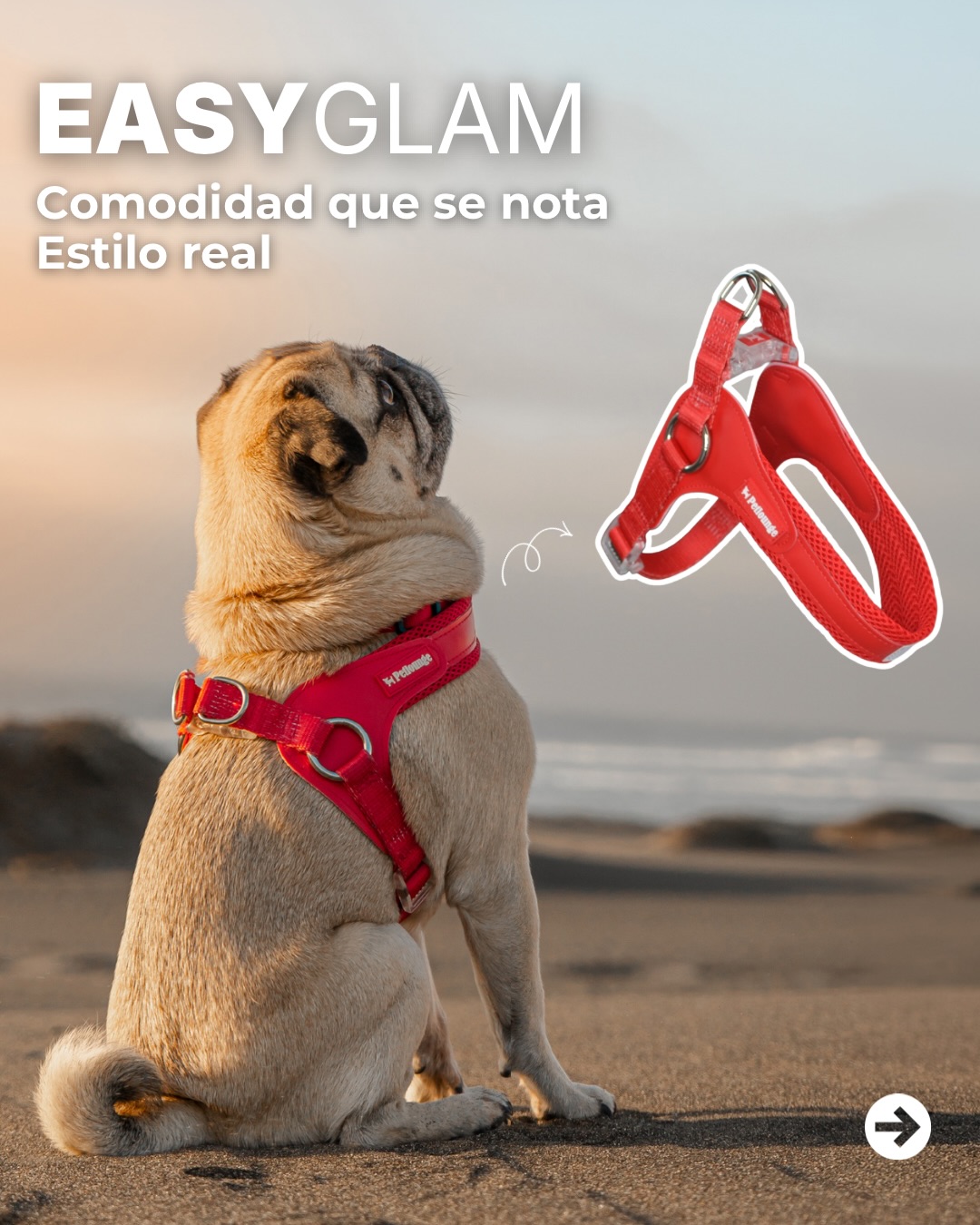 Si poner el arnés es una lucha… necesitas cambiarte a Easy Glam ✨
✔ No pasa por la cabeza
✔ Se pone en segundos
✔ Pecho acolchado ultra suave
✔ Liviano, flexible y cómodo
Diseñado para perritos pequeños que merecen comodidad real y estilo de verdad 💗
¿Tu perro es de los que no tolera que le pasen cosas por la cabeza? 👀
#perrospequeños #PerrosChile #DogLoversChile #petlounge #easyglam