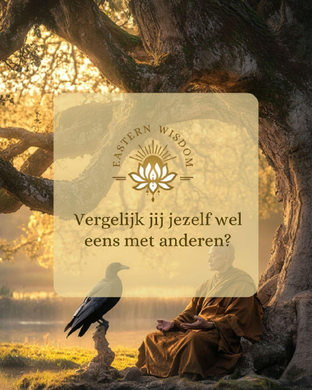 Vergelijk jij jezelf wel eens met anderen?
Wie zich vergelijkt, ziet vaak alleen wat hij mist 🪶✨. Pas wanneer je waardeert wat je al bent en hebt, ontstaat echte tevredenheid 🌿. Geluk groeit waar vergelijken stopt 🙏.
#zelfwaardering #vergelijking #innerlijkgeluk #bewustleven #oostersewijsheid #zelfacceptatie #persoonlijkegroei