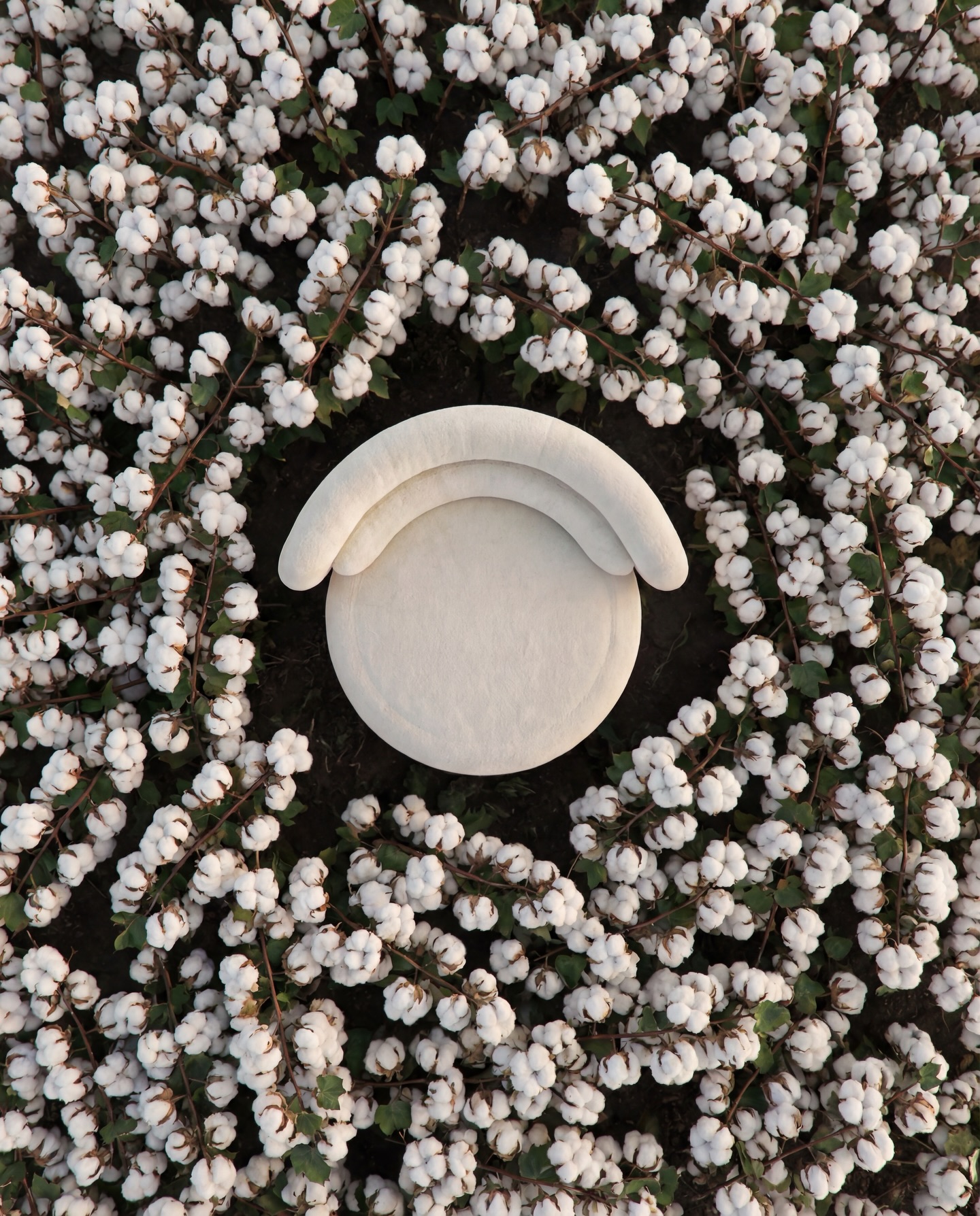 Where design returns to its roots.
Set among cotton fields, the Luna Armchair reflects the journey from raw material to refined form. Nature and craftsmanship exist in quiet dialogue - one providing the source, the other shaping the story.
At KEPI, sustainability is not a statement. It is a responsibility. We pursue materials with care, honoring both the land they come from and the spaces they will inhabit.
A reminder that every piece begins somewhere meaningful.
Shaping Stories.
Design By @mauriziomanzonistudio
Visual By @yuvagroupglobal
#KepiLiving #LunaArmchair #SustainabilityInDesign #FromNatureToHome #DesignWithHeritage