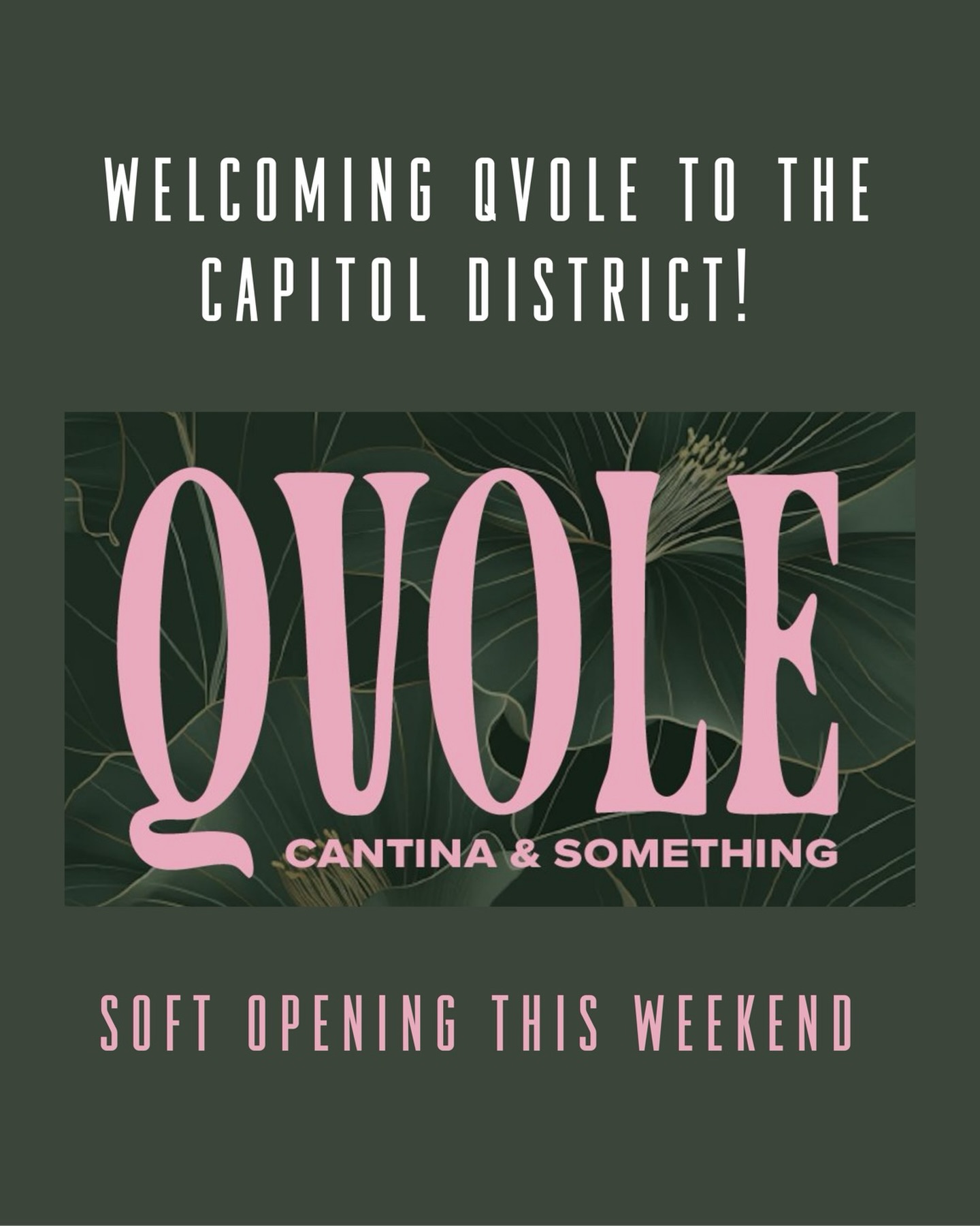 The wait is finally over... 🥁 Qvole's soft opening is THIS Friday and Saturday night! We'll bring the cocktails and the music, you bring the energy! Doors open at 8 PM.
More details ➡️ @qvoleomaha