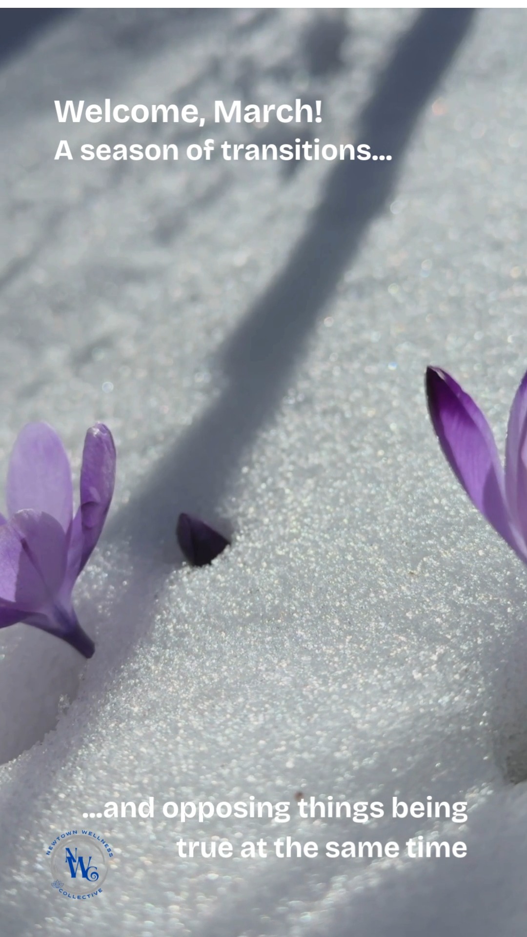 I'm a big fan of recognizing that two opposing things can be true at once. Yes, we can be happy and also sad for something else. We can love someone and also be angry with them. We may feel worried and yet also trust in our path. Snow may be on the ground, but spring is also making its way forward. Yay!
As we sit with these tensions, I'm reminded that all things have a life-cycle. New chapters begin as others end. And these can bring conflicting emotions, both true at the same time. This slow March transition to spring visually reminds us of change, noting that our layers of physical, mental, energetic, emotional and spiritual nature each move through change differently, at different timing.
Remember to breathe. Change opens new pathways, even if we're sad about the ones we're closing. No matter what may be shifting for you, it can be helpful to give yourself space to let all the layers of your nature move through change at their pace, gently coming into harmony.
Soon, we will welcome the official transition to spring. In the meantime, there's beauty in celebrating and also grieving what is coming to an end - snow, cold, winter (or whatever you may be experiencing) - and honoring what you've learned about yourself through it. And then we breathe again.
~ In loving kindness and compassion ~ Jen Rizza, Founder of Newtown Wellness Collective
We look forward to welcoming you at Newtown Wellness Collective and have some wonderful programs to honor this time of transition. Explore programs in BIO above!