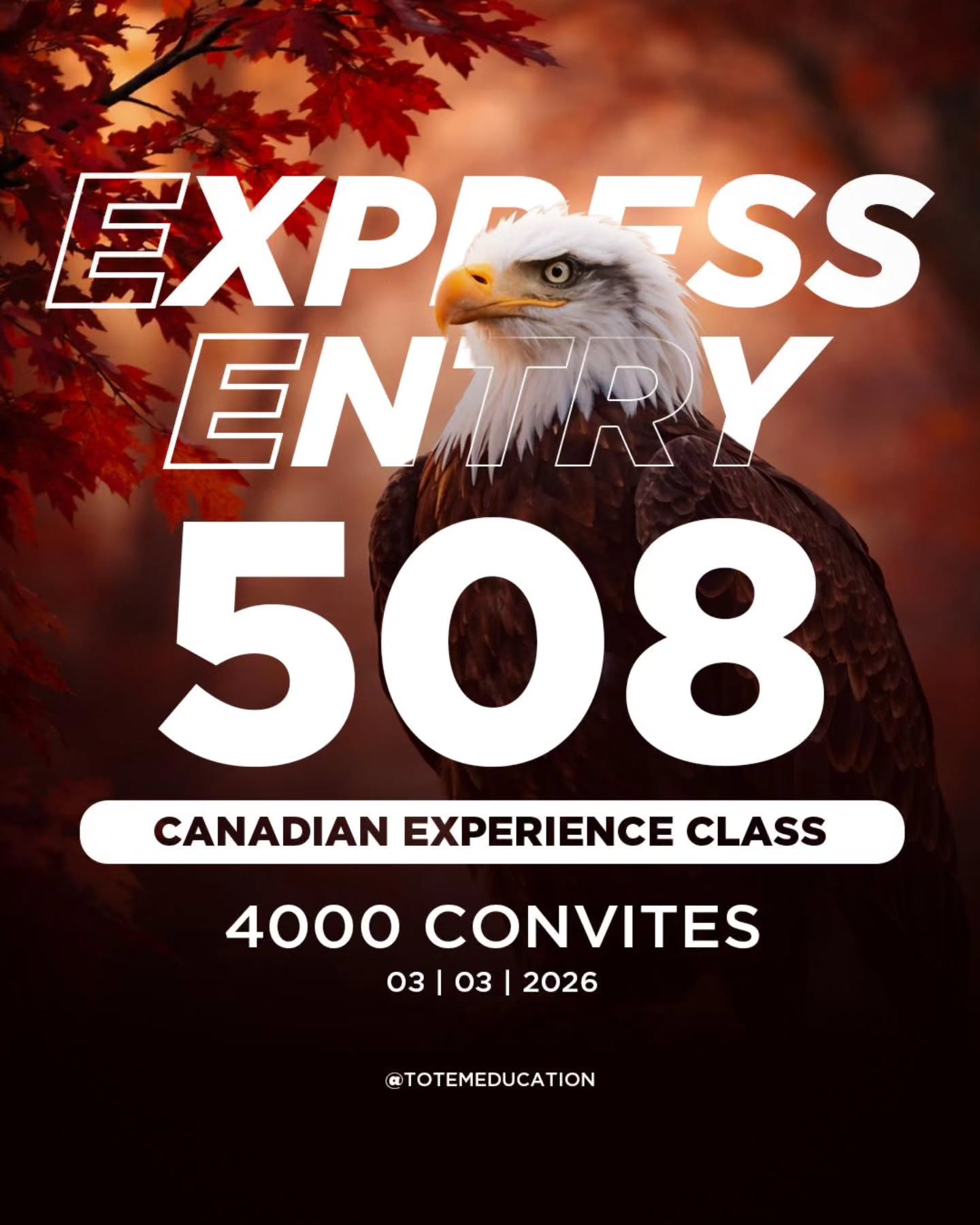 Foi convidado? Manda uma DM e vamos fazer juntos o processo mais importante da sua jornada Canadense!
Abrimos o mês de março com a chamada do Express Entry pelo programa Canadian Experience Class.
Nesta rodada, serão emitidos 4000 convites e os candidatos precisam apresentar uma pontuação mínima de 508 pontos.
📝Se você deseja se candidatar à residência permanente pelo Canadian Experience Class, chegou a sua hora!
➡️Entre em contato com a Totem agora mesmo e dê o próximo passo na sua jornada no Canadá!
@totemeducation
#totemeducation #expressentry #residenciapermanente #brasileirosnocanada #imigrarcanada trabalharnocanada prcanada