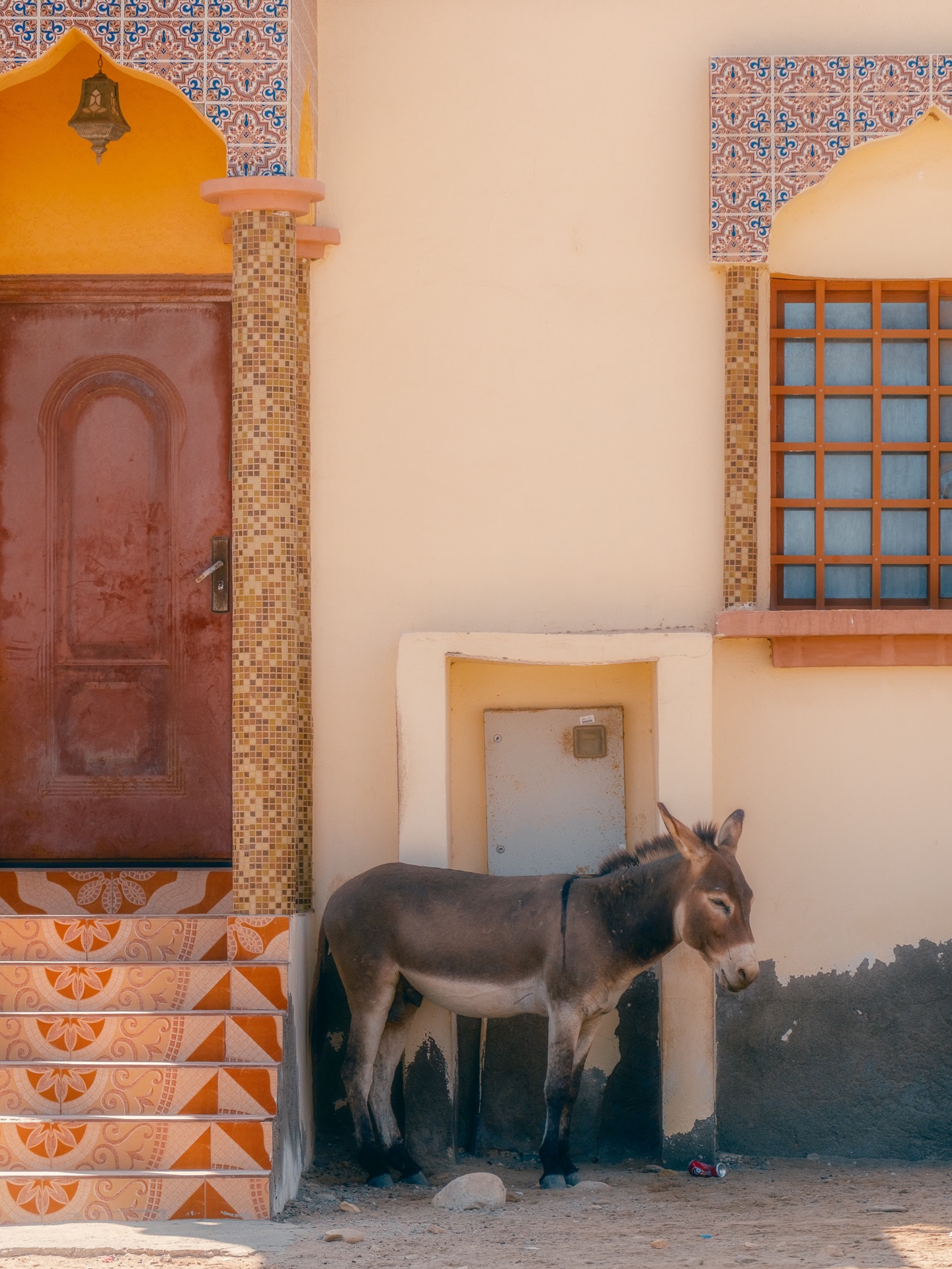 Postcards from Oman📮🇴🇲
.
.
.
.
#oman #visitoman #omanphotography #roadtripoman #reisefotografie