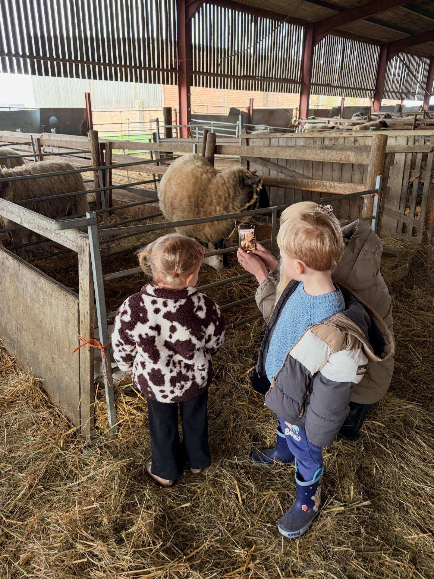 A lovely lambing visit this morning, we saw lots of new lambs and were able to hold them. Thank you to Sue Prior for showing us around.