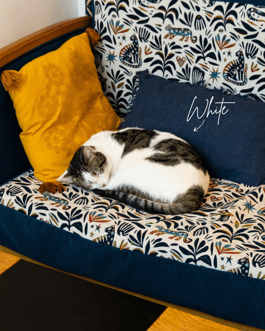 Dans la famille des Herbes Folles, je demande la reine des lieux : White 🐈⬛
Toujours en poste, elle surveille les tables du salon de thé, les préparations… et surtout que tout se passe comme il faut !
Bref, une véritable gardienne des gourmandises et de la bonne ambiance ✨