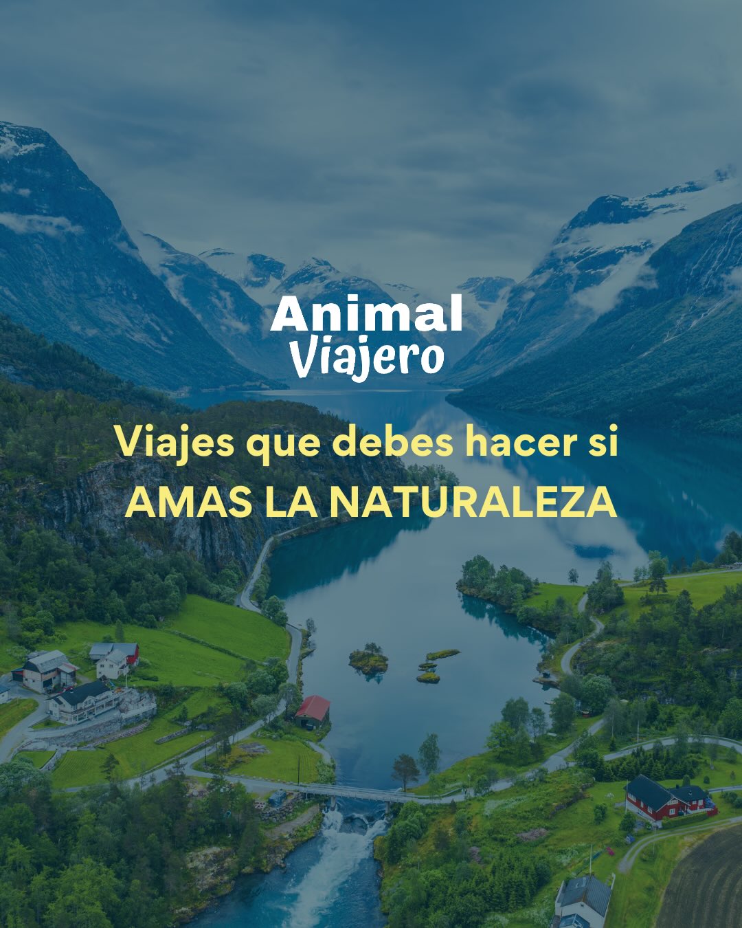 Si amas la naturaleza, tu alma ya sabe cuál es el siguiente destino. 🌲✨
En Animal Viajero diseñamos experiencias para reconectar contigo y con el mundo.
¿Listo para respirar diferente? 🌿✈️
Descubre nuestros próximos viajes y elige tu aventura.
#animalviajero #agenciadeviajes #viajesengrupo #viajeros