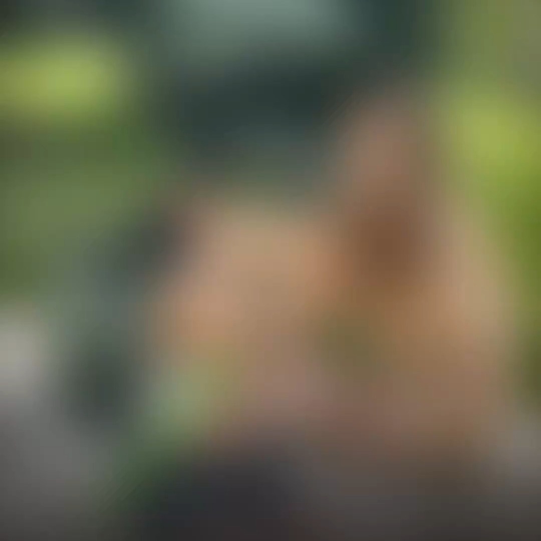 Stylisch. Sanft. Alltagstauglich. Der Adamex Nova kommt bald ins Babyhaus Dessau!!!
❤️bleibt gespannt❤️
#adamexnava#kinderwagen#babyhausdessau#babybedarf#elternzeit