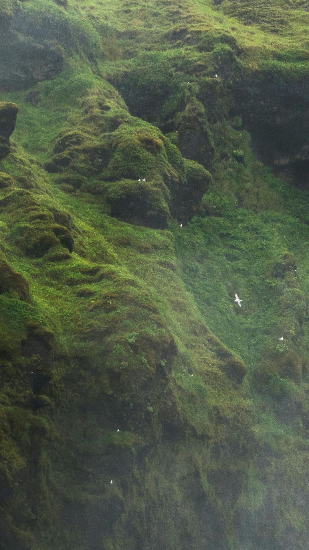 Sokan még mindig azt gondolják, hogy az „igazi” jóga csak stúdióban történhet.
Pedig az online gyakorlás ma már nem csak a B opció.
Hanem szabadság.
Lehetőséged ad arra, hogy
– akkor gyakorolj, amikor tényleg belefér 🟢
– annyi ideig, amennyire most szükséged van
– azt a stílust válaszd, amihez épp kedved van
– és igen… még azokat a teljesen természetes pillanatokat is megéld zavar nélkül 😄
Az online jóga még inkább hozzáad a jóga élményéhez: rugalmasságot, biztonságot, következetességet.
Ha szeretnél úgy jógázni, hogy közben nem kell rohannod, megfelelned, alkalmazkodnod,
akkor szeretettel várlak a Yoga&Wellness Clubban 💚
🟢 50+ jógavideó
🟢 Többféle hosszúságú és stílusú órák
🟢 Stresszoldó és önismereti tartalmak
🟢 Saját tempó, saját ritmus
A részleteket a BIO-ban találod.
Te próbáltad már az online jógát? Vagy mi tart vissza? Írd meg nekem! ⬇️
#jóganőknek #öngondoskodás #onlinejóga #yogaathome #jógaotthon