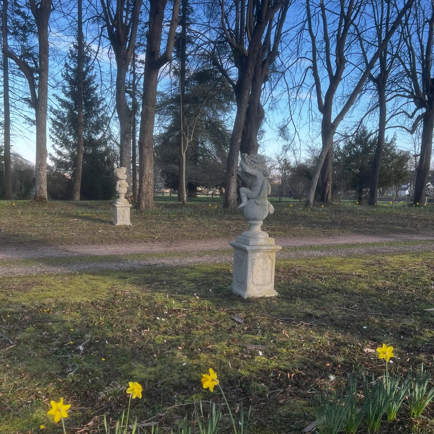 Le soleil brille avec les jonquilles! Ouverture prochaine pour le week-end de Pâques 🐣 #paques2026