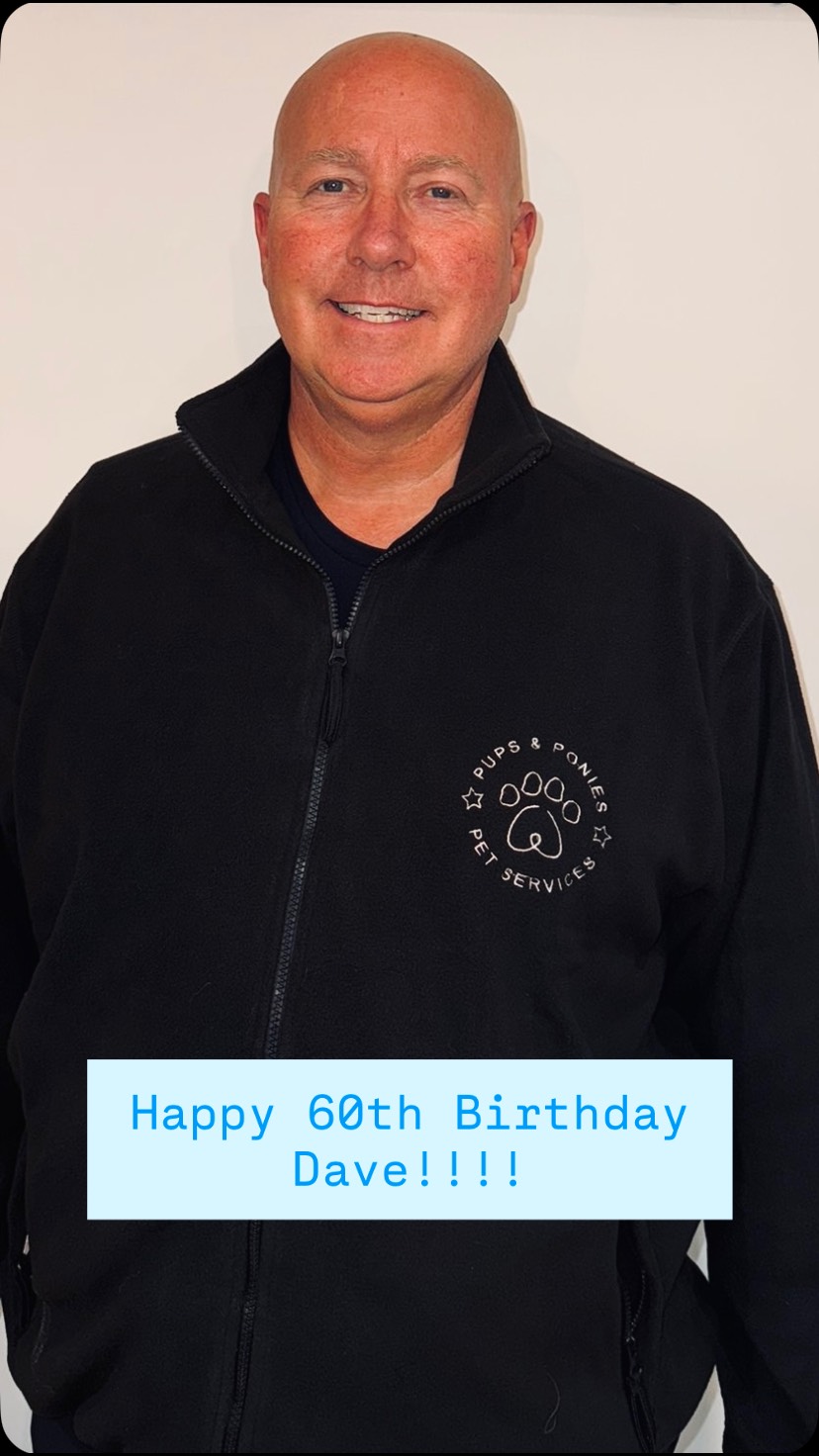 It’s our very own treat whispers 60th Birthday today 🎉
Happy Birthday Dave we hope you are having a fabulous time in ROME 🇮🇹 🍕
The pups will be sending their Luv ‘n’ Woofs
#birthdayboy