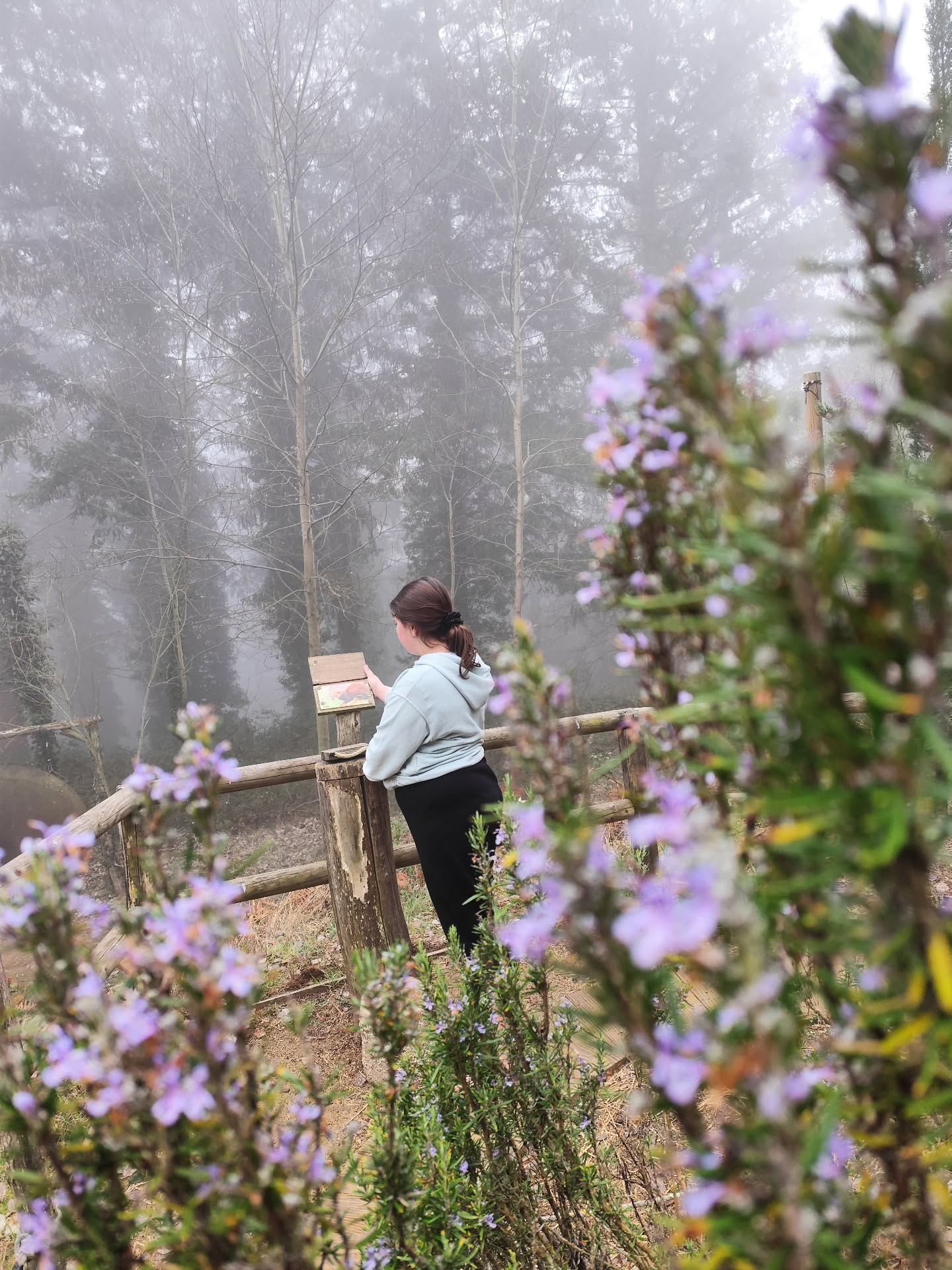 El Camina descalç🦋 és un sender ple de colors, olors i moltes sensacions.
#caminadescalç #peusdescalços #piesdescalzos #sentirlaterra #sentir