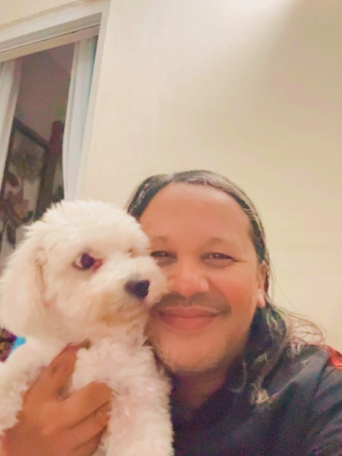 Do we steal them?
#Animal #Carnivora #Dog #DomesticAnimals #DomesticCat Feline Happiness Indoors barnabyishere✨