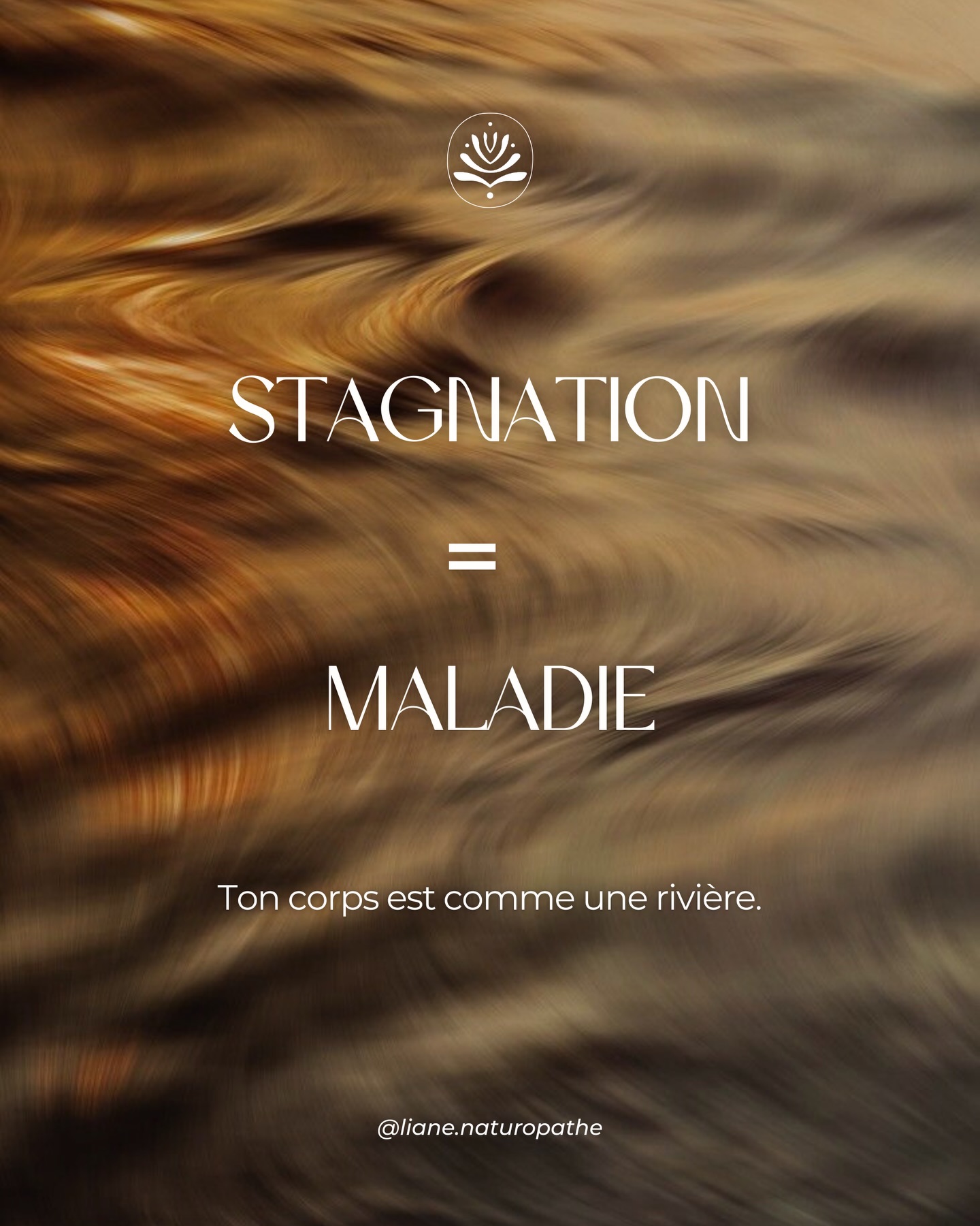 🌊 Restaurer le flow pour retrouver la santé...
En naturopathie, lorsque nos « humeurs » (aussi appelées les liquides du corps) ralentissent, les déchets ne sont plus éliminés correctement.
Ralentissement = congestion = symptômes ⛔️
C’est le ventre qui gonfle, la cellulite qui s’installe, la fatigue qui s’ancre.
Mais la stagnation physique est souvent le miroir d’une stagnation intérieure.
🍃 En énergétique, on dit que l’émotion est un mouvement.
Si vous retenez vos peurs, vos colères ou vos pleurs, vous créez des nœuds énergétiques. Une énergie qui ne circule pas baisse votre taux vibratoire.
On se sent lourd, déconnecté de son intuition, avec l’impression de subir sa vie plutôt que de la vivre.
Restaurer le flow au quotidien 🌀 :
Le mouvement régulier
L’hydratation de qualité
Une respiration profonde et consciente
Une alimentation qui facilite la digestion
Ne rien garder sur le cœur
Prise de rendez-vous pour un accompagnement individuel via le lien dans la bio.
__________
#naturopathemartinique #flow #drainagelymphatique #soinénergétique #santéholistique