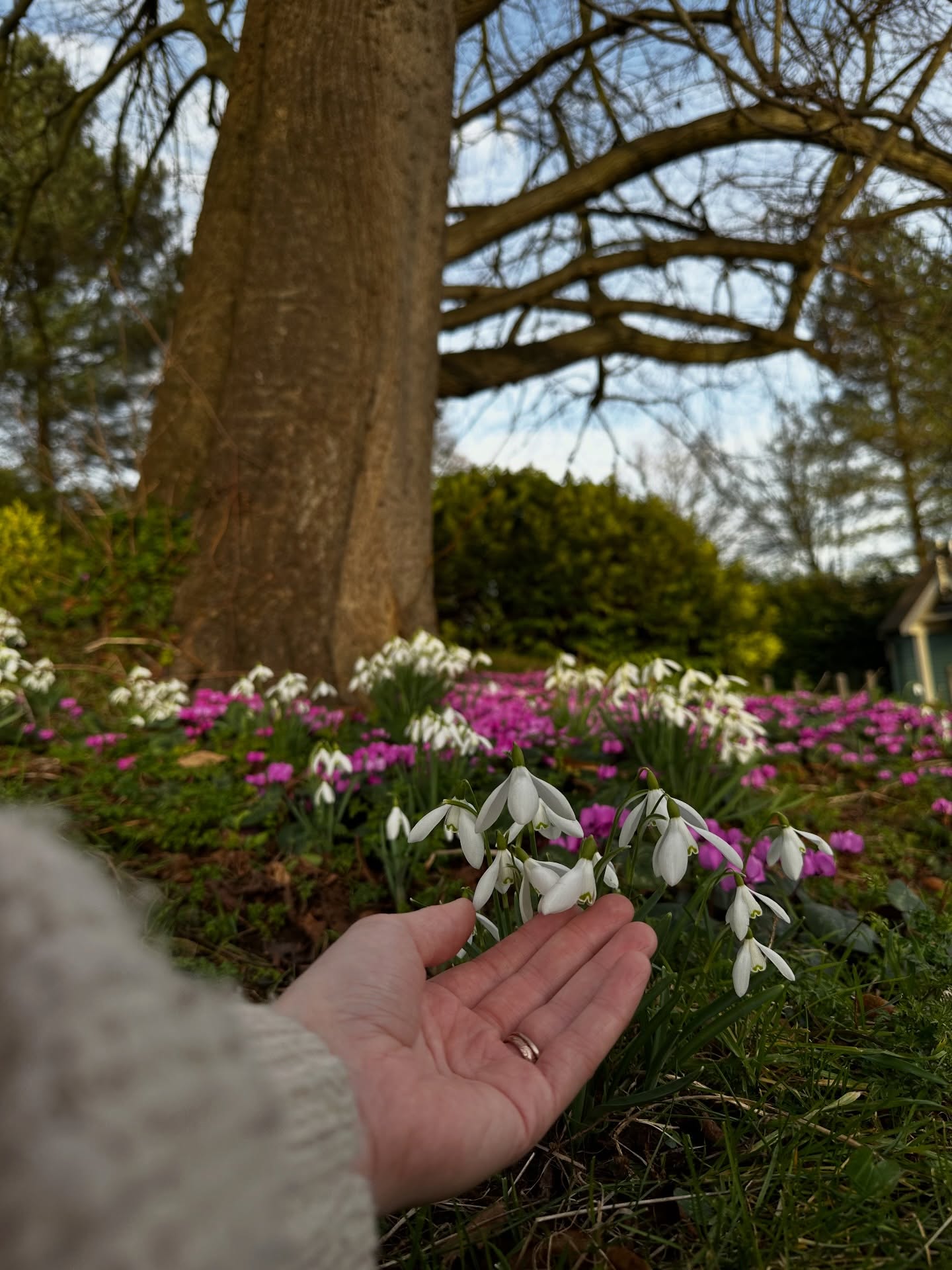 Spring is simple.
More light.
More fresh air.
More reason to step outside. 🌿
After months of grey skies and cosy routines, your body loves this shift.
☀️ Sunlight lifts mood and supports vitamin D.
🚶♀️ Gentle walks regulate your nervous system.
🌱 Seeing green and new growth reduces stress.
🌸 Fresh air improves sleep and energy.
Along with improving your eating habits and regularly moving your body, these small seasonal shifts make a bigger difference than we realise.
Just open the door.
Feel the sun.
Breathe a little deeper.
Sometimes better health starts with stepping outside. 🌼
#SpringWellness #SimpleHealth #HolisticLiving #SeasonalLiving #LighthouseHealth