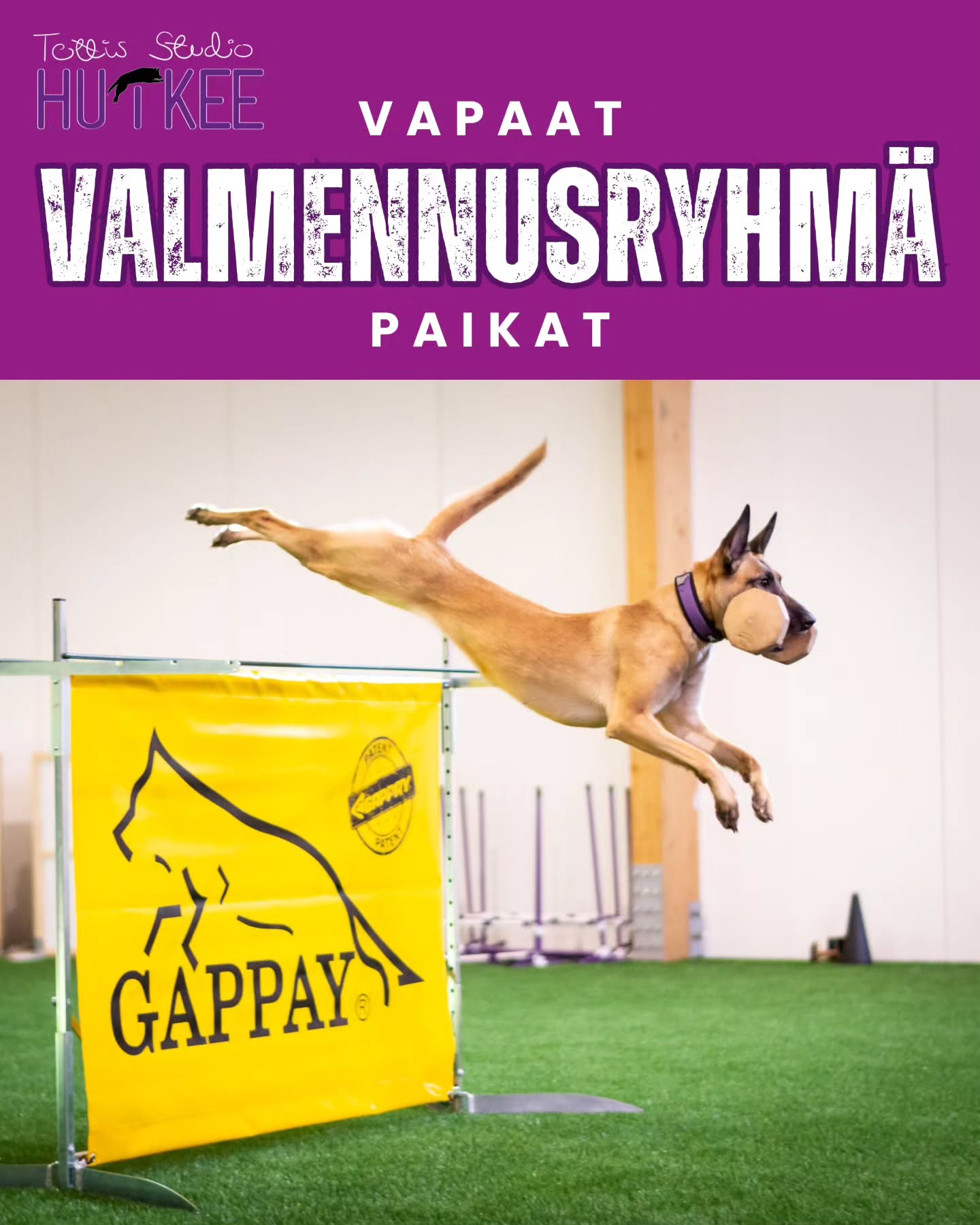 Loppu keväälle vapautunut muutama valmennusryhmä paikka 🔥 ryhmät pyörii huhtikuun loppuun saakka
🔻 Mukaan pääset ilmoittautumaan kotisivuiltamme löytyvän lomakkeen kautta - kohdasta valmennusryhmät.
VAPAAT PAIKAT
TOKO MAANANTAI
🟣 2xkk parilliset viikot klo.17.30-19
🟣 Sopii kaikentasoisille
TOKO/TOTTIS TIISTAI
🟣 4xkk klo.19-20
🟣 4xkk klo.20-21
🟣 Sopii kaikentasoisille tokoon tai tottis/bh
RALLY-TOKO TIISTAI
🟣 2xkk parittomat viikot klo.18-19
🟣 Sopii aloittelijoille / ALO
TOKO KESKIVIIKKO
🟣 2xkk parittomat tai parilliset viikot klo.19-20
🟣 Sopii kaikentasoisille
Tervetuloa mukaan! ✨️
#tottisstudiohuikee
#koirankoulutus #koirakoulukuopio