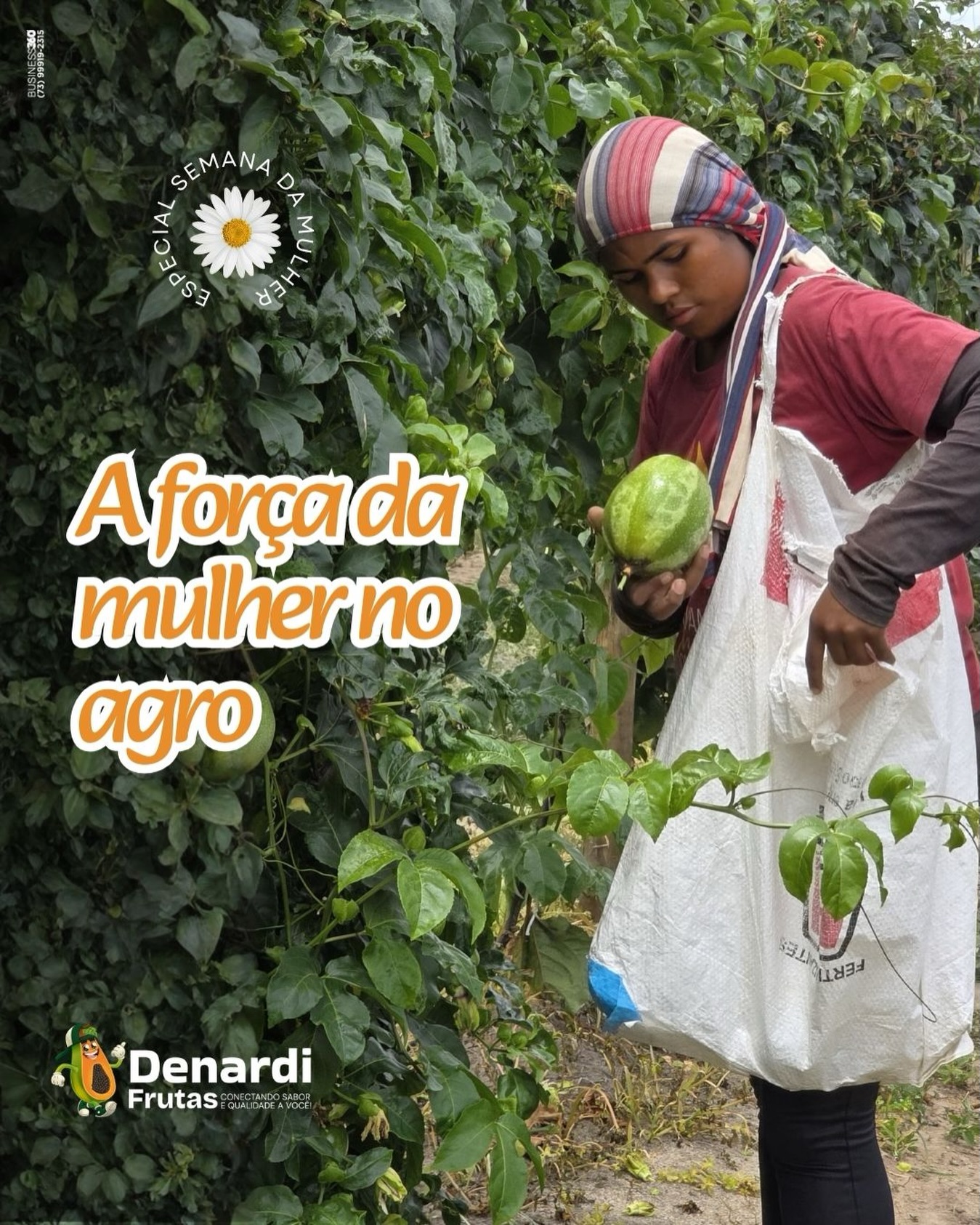A força da mulher no agro.
É olhar atento pra colher no ponto certo, manter o ritmo e garantir que o trabalho saia bem feito.
Sempre com muita garra e determinação!
No campo, a mulher sustenta a base do agro com presença, responsabilidade e consistência.
Precisamos sempre enaltecer essas guerreiras!
Especial semana da mulher
#DenardiFrutas #MulherNoAgro #Semanadamulher #AgenciaBusiness360
