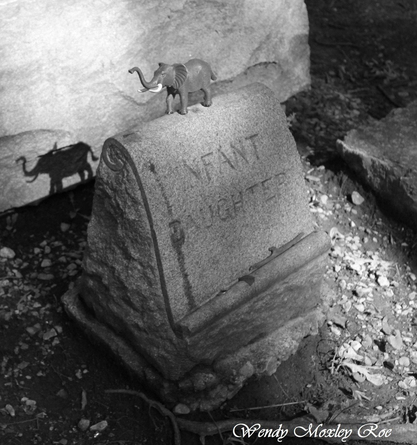 Bachelors Grove Cemetery, Midlothian, IL
www.thepathtobachelorsgrove.com
#cemetery_photography #cemeteryphotos #cemeteryscapes #cemeteryscene #cemeterystrolls #cemeteryphotographer #cemeterytravels #illinoiscemeteries #chicagocemeteryphotography #chicagocemeterycrawlers #tombstonetravels #taphophile #bachelorsgrovecemetery #hauntedcemetery #historiccemetery