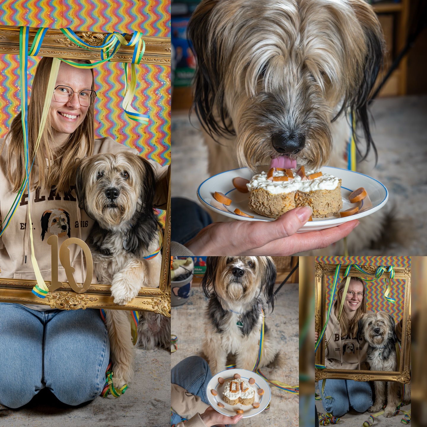 Happy Birthday to this old grumpy man 🎉☀️
10 Jahre Blake ♡
#dogsofinstagram #birthdaydog #sonyalpha #portraitphotography #dogphotography