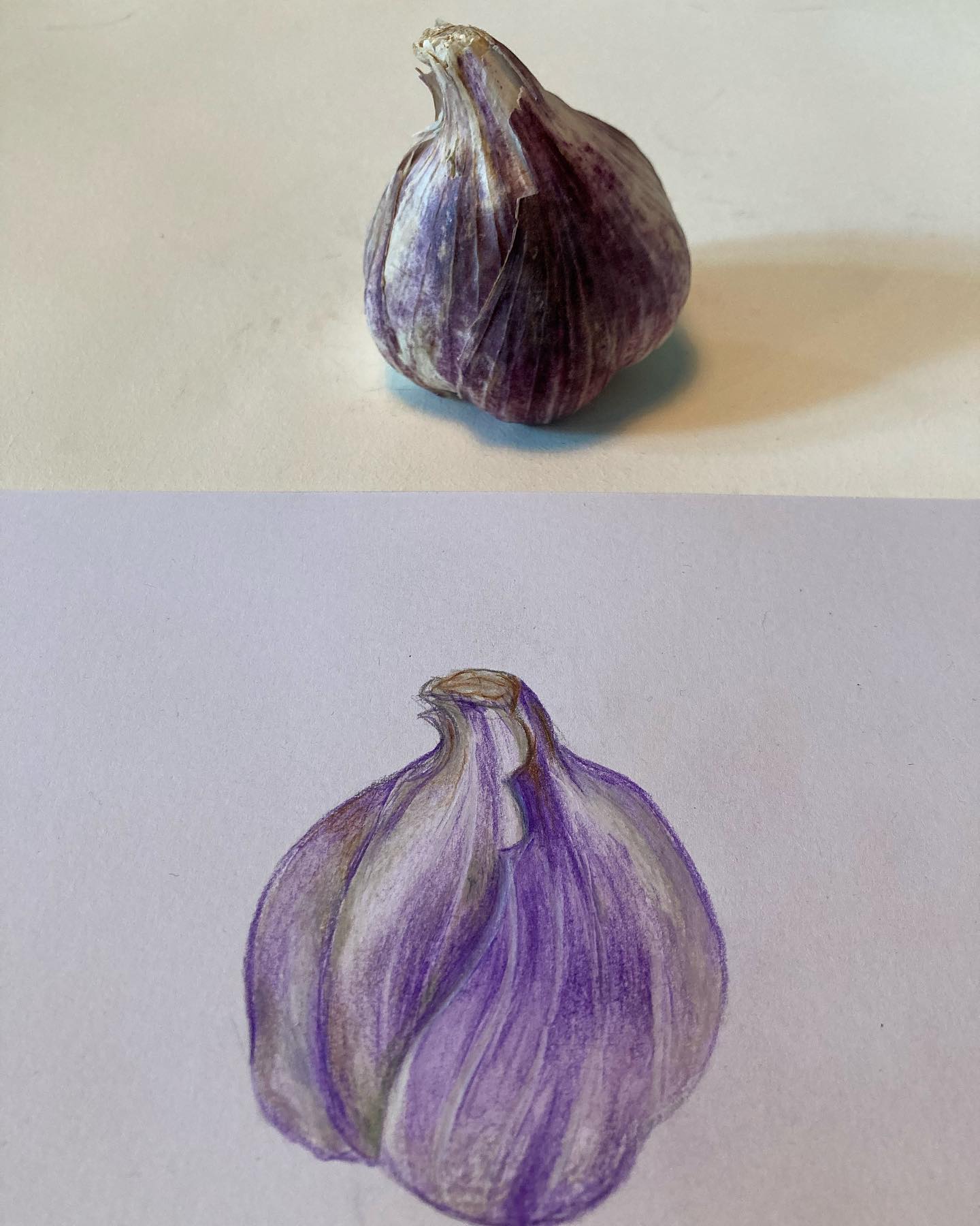 L’ail, selon la Diététique Chinoise!
Un dessin perso, ma recette préférée!
Remède magique connu depuis la nuit des temps, pour faire fuir les méchants virus, voir les vampires, l’ail est considéré comme un anti bactérien et antiviral naturel, car, en favorisant la production de globules blancs, il renforce le système immunitaire.
En Égypte, au moment de la construction des pyramides, on en distribuait chaque jour une gousse a chaque ouvrier, pour leur donner des forces, mais aussi éviter qu’ils ne tombent malades.
L’ail est à la fois un condiment très utilisé dans toutes les cuisines du monde, mais aussi reconnu pour ses vertus thérapeutiques.
L’ai est de nature tiède, de saveur piquante et douce et a pour tropismes Rate/ Estomac/ Poumon
Il réchauffe le système Rate/ Estomac pour favoriser la digestion, faire circuler le QI et traiter les douleurs au niveau de l’Estomac. Il dissipe aussi la toxicité en cas d’intoxication alimentaire et à une action anti parasitaire. De par son action sur le Poumon, il libère la surface, fait transpirer, traite les rhumes et coups de froid. Il traite les mucosités et la toux.
Ayant aussi comme action de faire circuler le sang, de le fluidifier (comme tous les aliments de la famille des alliacées), on lui reconnaît des vertus cardio-vasculaires, pour traiter l’hypertension artérielle, le cholestérol, l’arthrite, mais aussi pour éviter le rhume et la grippe.
Ma recette préférée: le velouté de panais à l’ail, mais aussi les spaghettis à l’ail, les orecchiettes au brocoli et à l’ail, le pesto…
#ail #ails #ailviolet #aglio #garlic #bienfaitsanté #alliums #alliacés #bonpourlasanté #dietetique #dietetiquechinoise #mtcook #dietetiquefood #foodtherapist #chinesefoodtherapy #shiatsutherapy #madreperlamtc