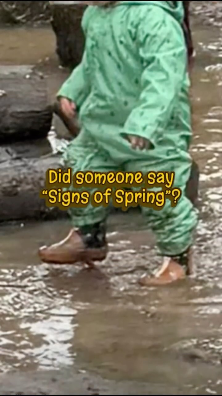The rain hasn't stopped us from having lots of fun this week. Join us next week on Thursday 1-2.30pm or Friday 9.30-11am. For more information and booking please visit www.nature-bugs.co.uk
#naturebugssolihull #forestschool #solihullmumsanddads #stayandplay #solihullmums