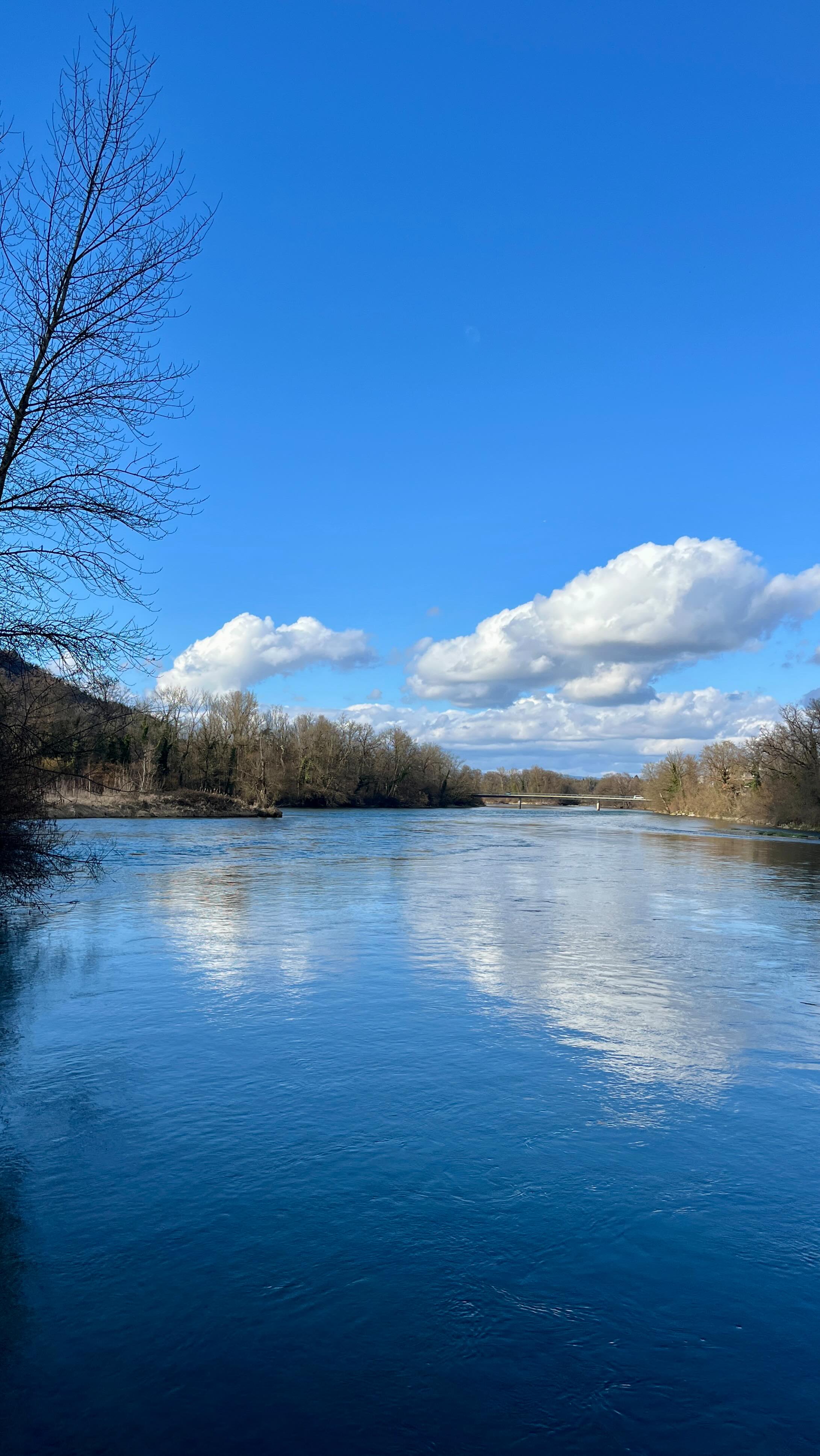 go with the flow, enjoy the moment
#bewegungmachtglücklich #erdungimkörper #neurodiverse #mentalhealth