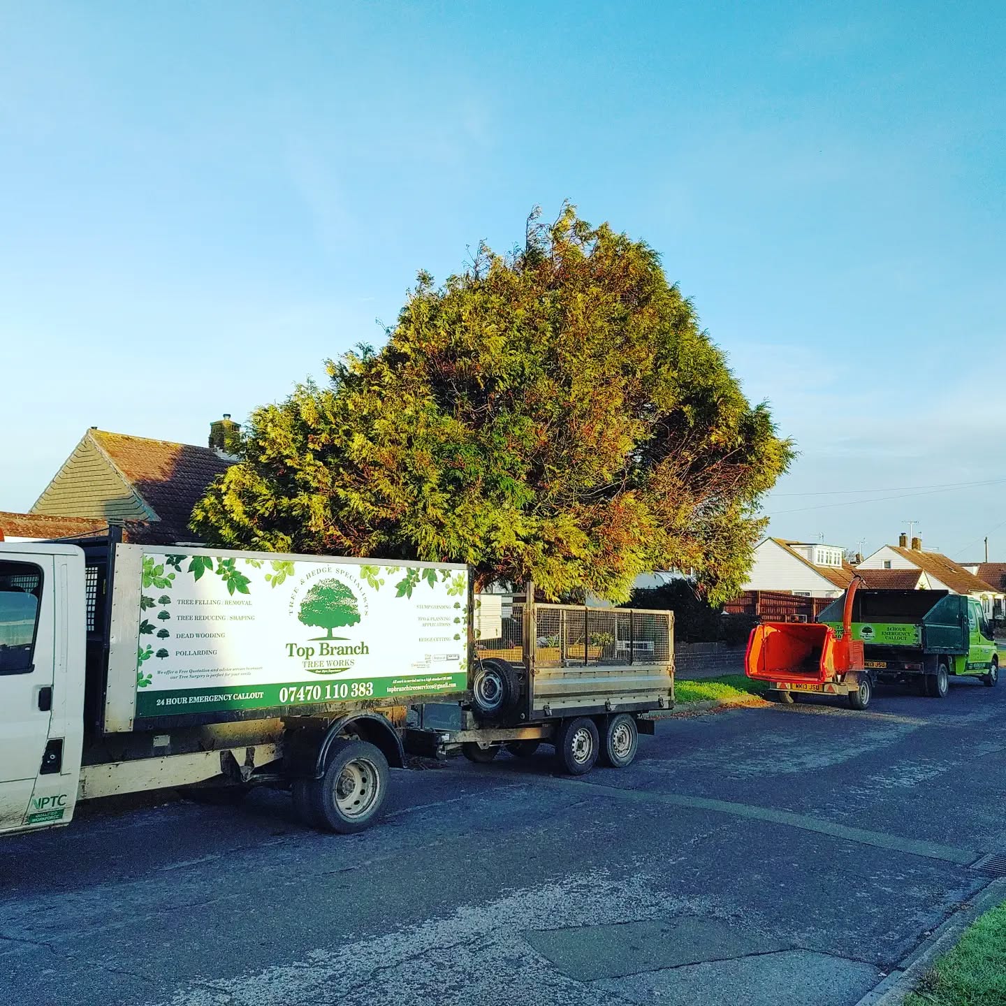All in a day's work! This conifer was taking over the front of this property in Pagham.
What a difference it has made removing it 🌳
