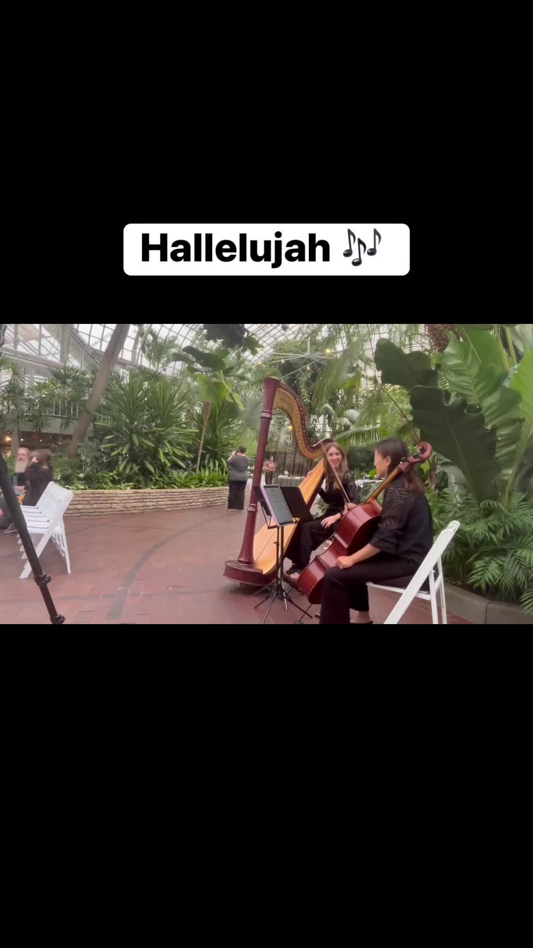 A beautiful prelude request as guests arrived for this wedding at the stunning Franklin Park Conservatory. ✨
#Hallelujah #WeddingPrelude
#HarpAndCello #FranklinParkConservatory
#ColumbusWeddings #OhioWeddings
#CeremonyMusic