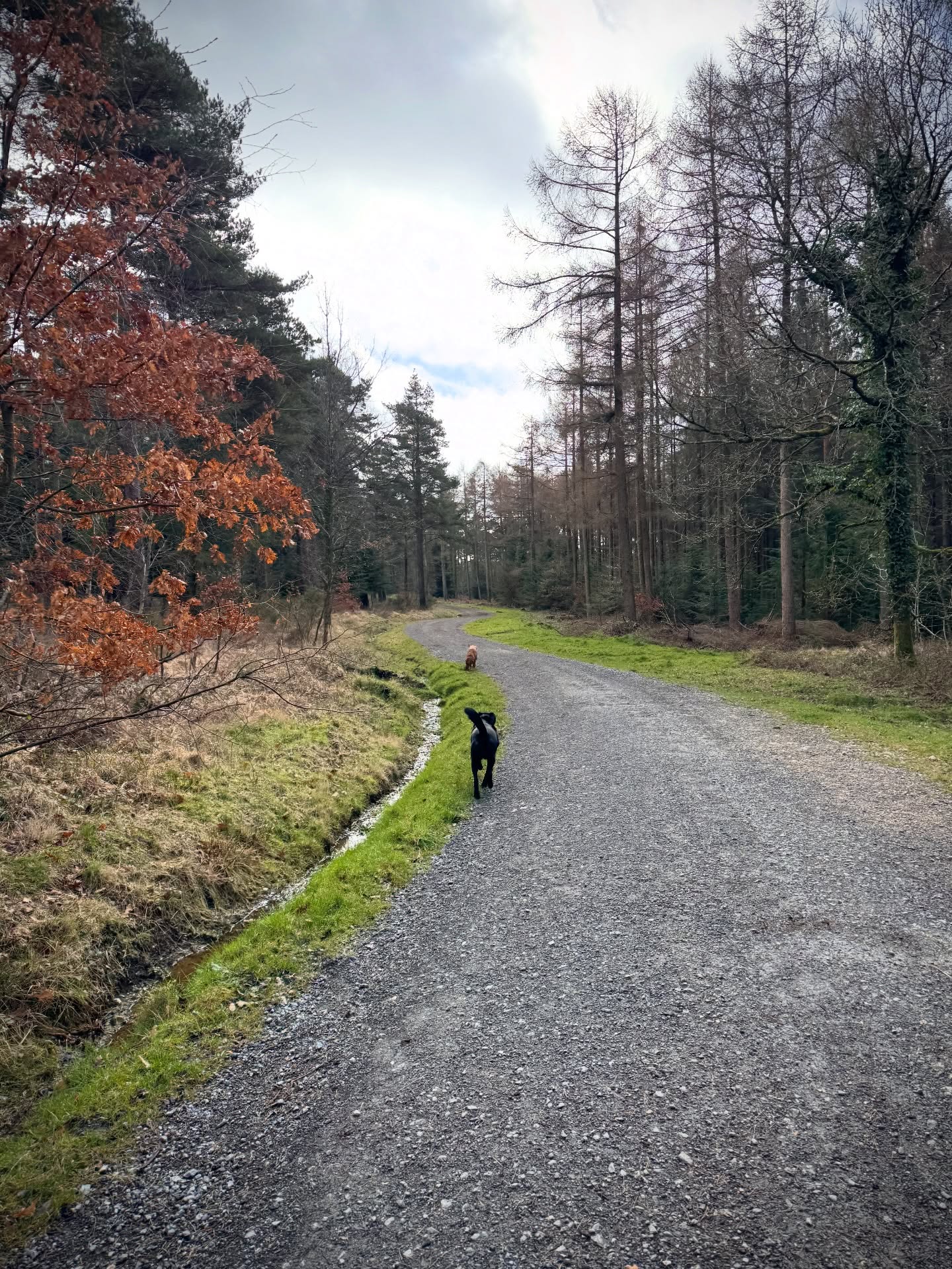 Found a nice new spot today and of course Monty found the water!