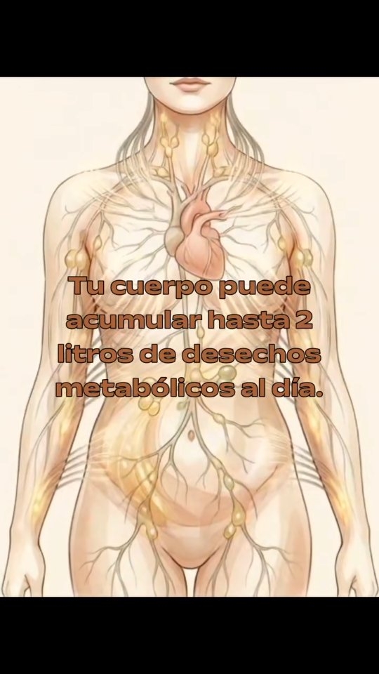 Tu cuerpo puede acumular hasta 2 litros de desechos metabólicos al día.
Y tu sistema linfático no tiene una “bomba” como el corazón.
Necesita movimiento.
Necesita hidratación.
Te necesita a ti.
La linfa es el sistema de drenaje invisible que limpia tus células.
Si no fluye… se estanca.
Y cuando se estanca, tu cuerpo habla 👇
• Hinchazón facial al despertar
• Piernas pesadas
• Celulitis persistente
• Resfriados frecuentes
• Fatiga que el café no resuelve
No es casualidad.
Es tu biología pidiendo apoyo.
El problema no es solo estético.
Es celular.
Tu energía, tu inmunidad y tu capacidad de reducir inflamación silenciosa dependen de que la linfa circule.
Aquí tienes 5 acciones simples para activarla:
1️⃣ Caminar 30 min o hacer mini rebotes
2️⃣ Hidratación estratégica (agua + minerales)
3️⃣ Cepillado en seco antes de la ducha
4️⃣ Duchas de contraste (calor/frío)
5️⃣ Apoyo detox natural con micronutrientes adecuados
No es tendencia.
Es fisiología básica.
Cuando la linfa fluye:
✓ Menos inflamación
✓ Más energía sostenida
✓ Mejor tono de piel
✓ Sistema inmune más eficiente
El bienestar empieza en la célula.
Y cada cuerpo responde diferente.
💡 Si quieres saber qué necesita TU organismo para optimizar detoxificación e inflamación, escríbeme “LINFA” por DM y te explico cómo lo analizamos desde la epigenética nutricional.
Tu salud celular no espera.
#SaludCelular
#SistemaLinfático
#InflamaciónSilenciosa
#DetoxNatural
#EnergíaFemenina