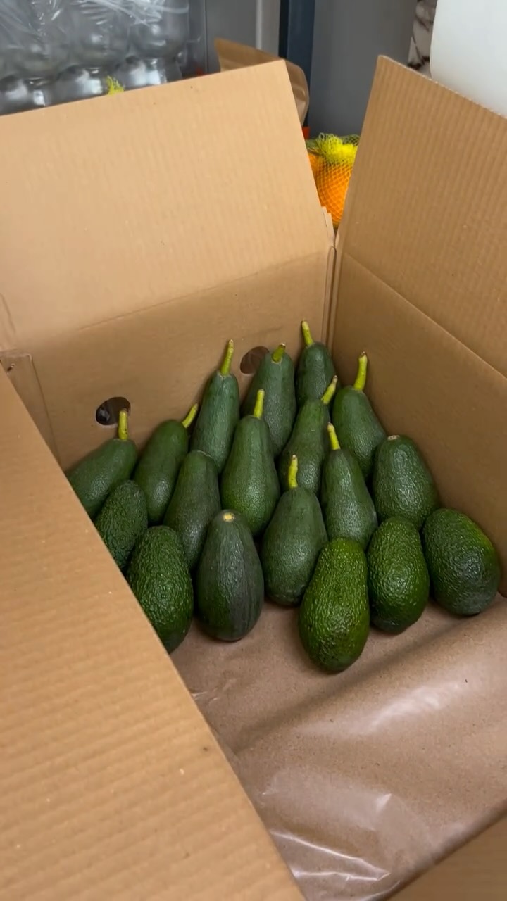 Bu sadece bir paket değil…
Bahçede başlayan bir emeğin, sabrın ve sevginin yolculuğu 🌿
Her bir ürünü sanki kendi soframıza koyacakmış gibi hazırlıyoruz.
Afiyetle, sağlıkla tüketin 💚
.
..
.
.
.
.
.
.
.
#sağlıklıbeslenme #avocado #organik #sağlıklıyaşam #keşfetteyim