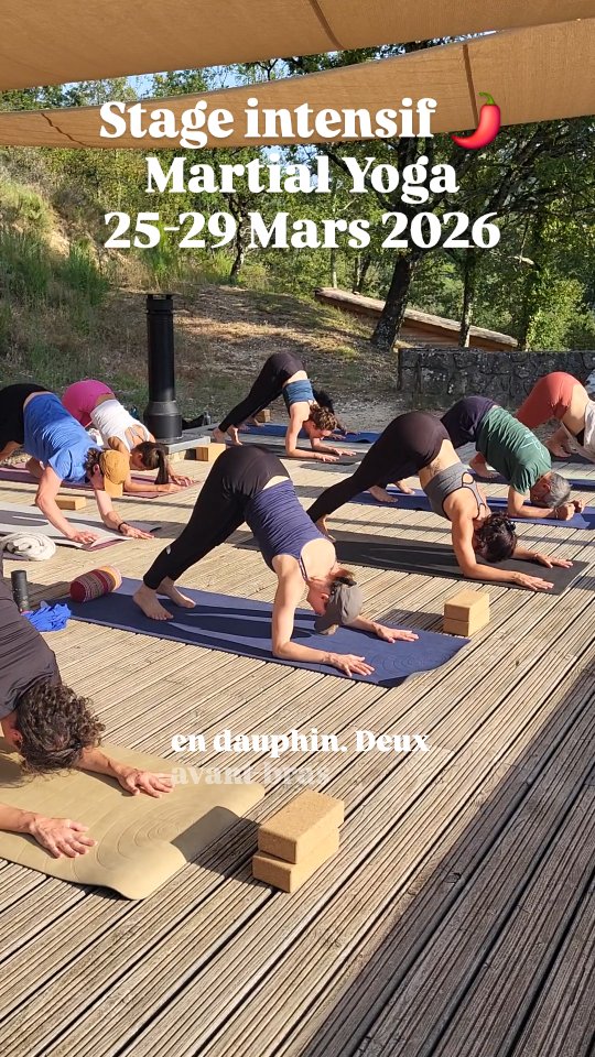 🌶 Petite séquence pimentée lors d'un stage intensif Martial Yoga.
.
.🚀Rejoins-nous pour 4 jours de stage intensif, 25 h de pratique pluridisciplinaire, et viens faire décoller ta pratique.
.
Au programme :
- Méditation
- Respiration
- Yoga
- Mobilité articulaire
- Backbends
- Arm balances
- Handstand
- Callisthénie
- Taekwondo
.
💶 Tarif : à partir de 815€
.
➡️ Écris-moi pour t'inscrire :
Marc@martial-yoga.com
07 55 67 50 45