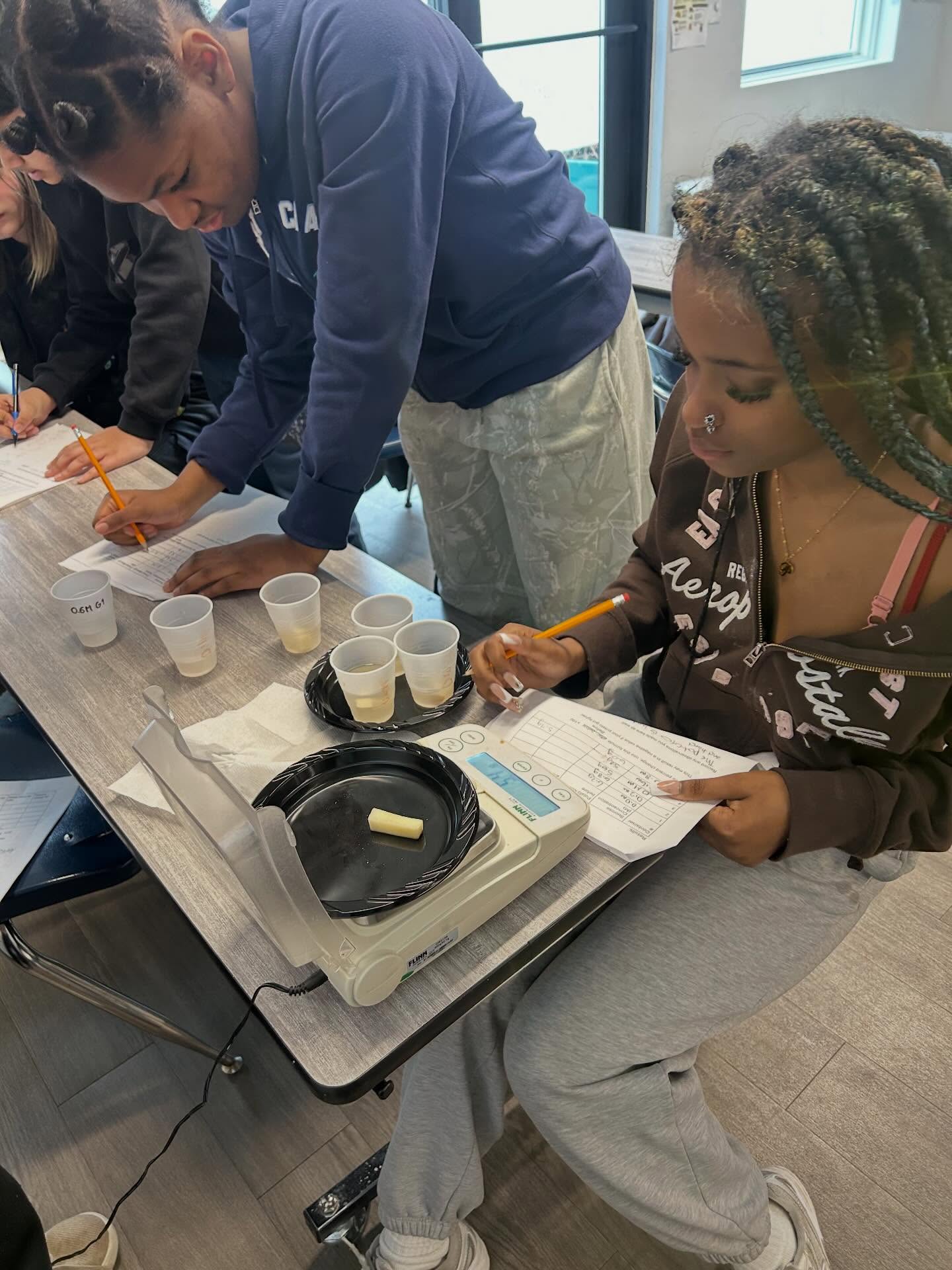 Biology classes study mass changes due to sucrose concentration.