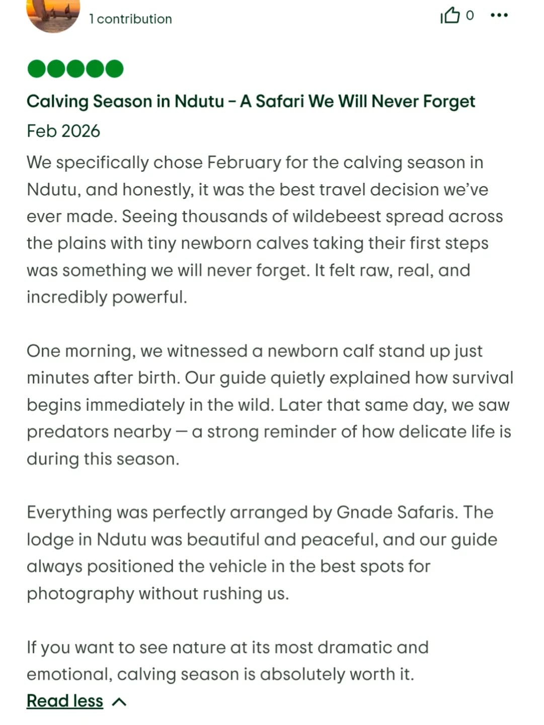 ✨ Hear From Our Recent Clients – Calving Season in Ndutu ✨
“Seeing thousands of wildebeest spread across the plains with newborn calves taking their first steps was something we will never forget. It felt raw, real, and incredibly powerful.”
February in Ndutu is unlike any other time of year. During calving season, life begins in its purest form — and survival starts immediately. Watching a newborn calf stand just minutes after birth, while predators linger nearby, is a reminder of how dramatic and emotional nature truly is.
We are proud to have arranged every detail of this unforgettable safari — from a peaceful lodge stay to expert guiding and perfect vehicle positioning for photography without rushing the moment.
If you want to witness the Great Migration’s most powerful chapter, Ndutu in February is the time.
📩 info@gnadesafaris.com
🌍 www.gnadesafaris.com�
#GnadeSafaris #Ndutu #CalvingSeason #GreatMigration #TanzaniaSafari Serengeti LuxurySafari
