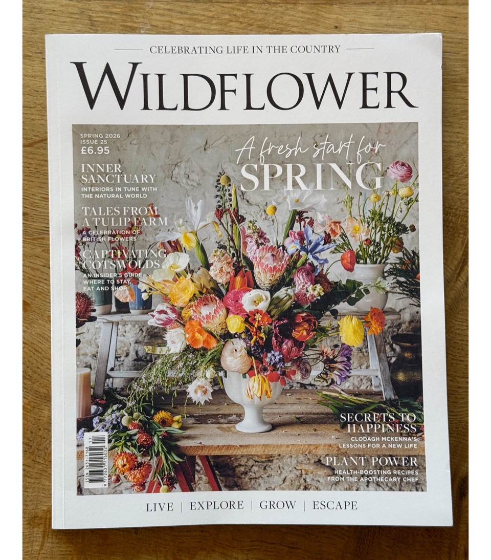 A huge thank you to @wildflowermagazine for featuring Chloe’s Studio in their latest issue 🤍
And thank you so much to @zoelevey for coming along to class and loving the experience… it really means a lot 🌿💚
So grateful for this beautiful community and all the support around Chloe’s Studio🙏💕
A big thank you to @sykes_alice for the wonderful PR support behind the scenes ✨
Chloe x
#chloesstudio #cotswolds #cotswoldlife #pilatesstudio