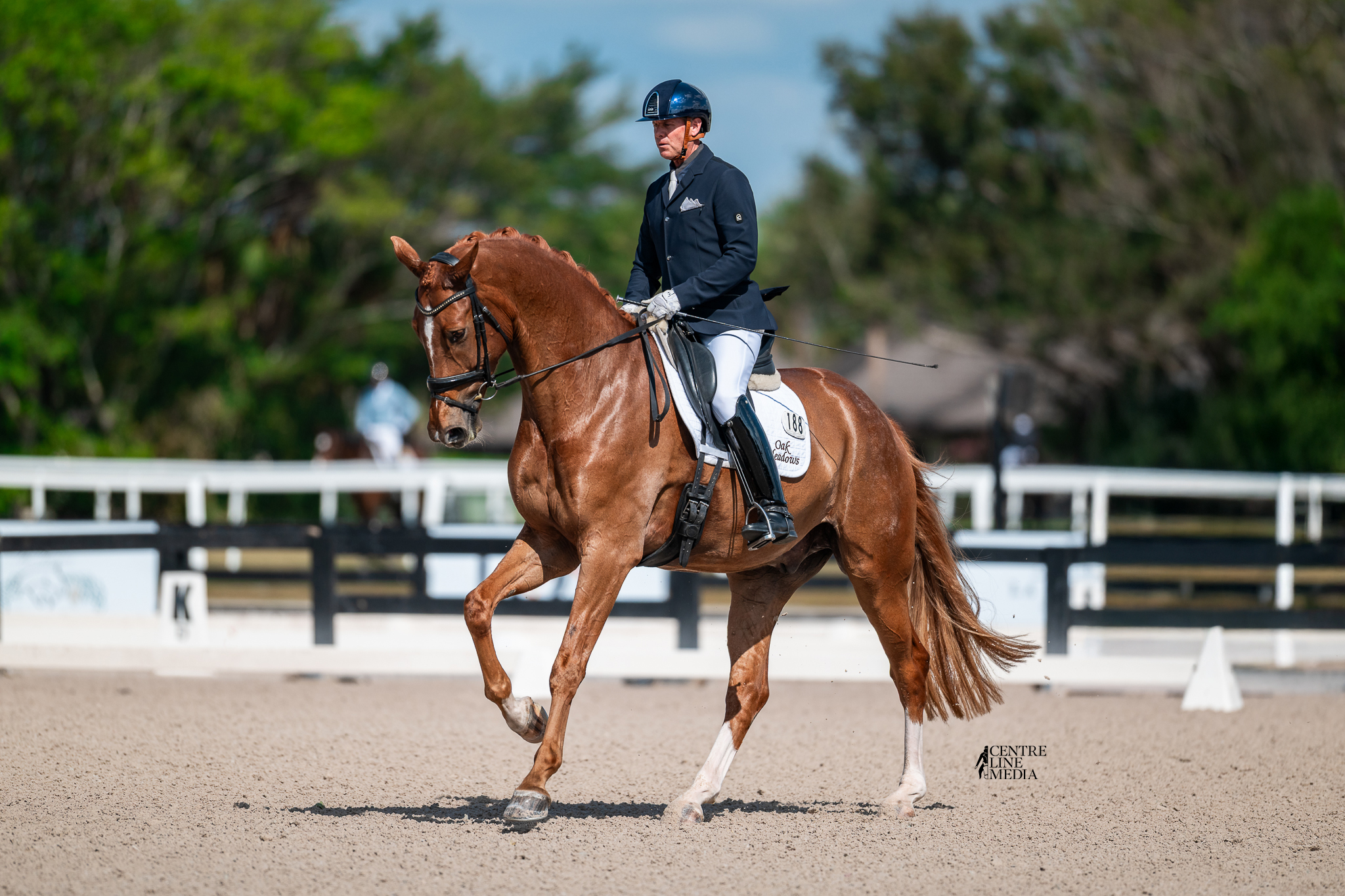 Signify QC (Secret x Londonderry x Wolkentanz x Argentan) won both of his First Level classes at Global over the last month with scores up to 75+% — the first of our homebreds to debut at Global.
📸: @centrelinemedia
#quanticosporthorses #equine #horses #horsesofinstagram #breedingwithapurpose #breedingforthefuture #dressage #dressagehorse #secretstallion #secretstallionfoals #secretstallionoffspring #londonderry #wolkentanz #hanoverian #hannoveraner #americanhanoveriansociety #oakmeadowsfarmdressage #adequanglobaldressagefestival
