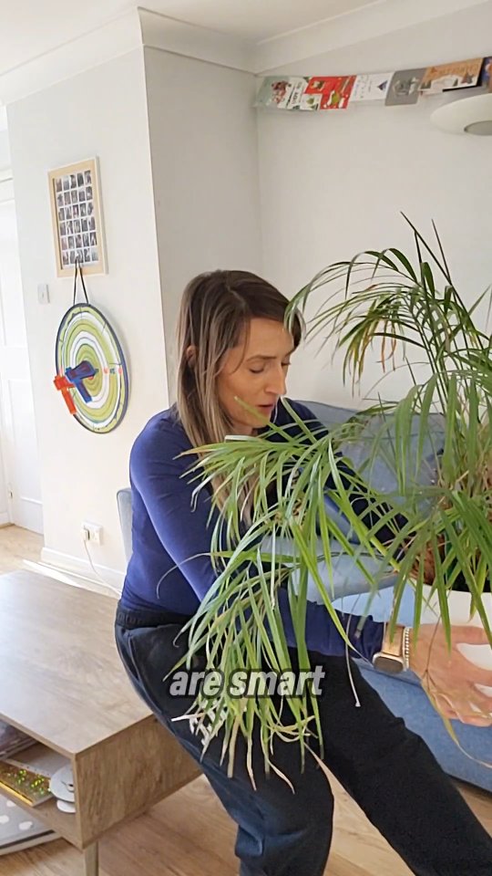 Let me guess:
You wanna get fitter, healthier and more confident, but you dont know where to, when you do start your exercise is more inconsistent that Katie Price's marriages, and your motivation keeps dropping off a cliff.
I gotcha.
Performance goals are the way forward Beaut!
They'll give you something to focus on and make you feel like a total badass when you achieve them.
- Run a certain distance without stopping
- Plank for a certain time
- Bash out a handstand
- Do a press-up
Or something different entirely, whatever floats your boat!
#fitover40uk #personaltrainerformums #fatlosscoach #weightliftingforwomen #mumlife