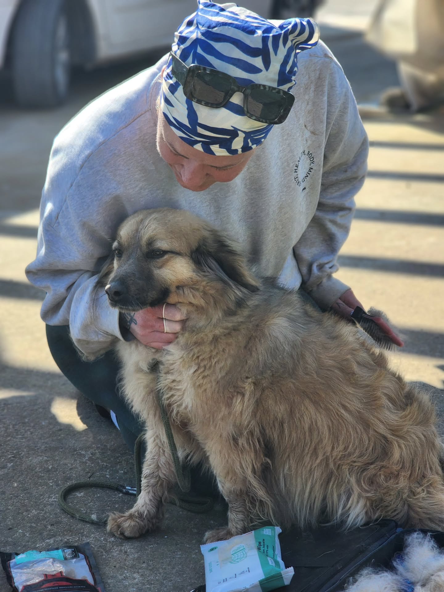 One of the lucky dogs who got a pampering session witu Emilie is Mars!
Mars is still available for adoption, and is patiently waiting to find his forever home.
Find out more about Mars on our website: www.melezdogrescue.com/mars