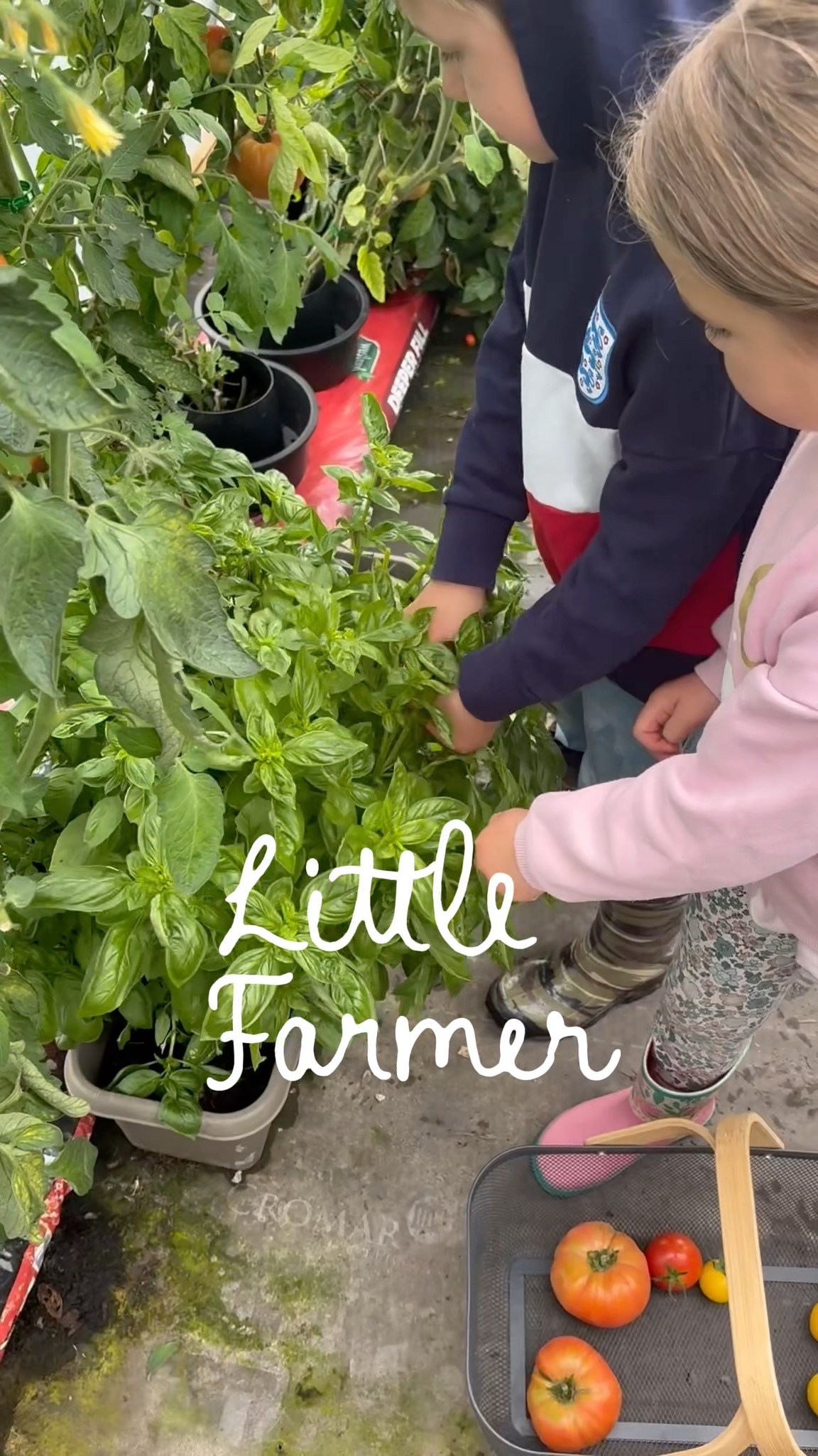 Let the kids swap screens for muddy boots, fresh air and real farm life.
Our Little Farmer Experience lets children plant seeds, feed animals, collect eggs and learn where food really comes from.
Slow childhood. Real experiences. Farm memories that stick. 🐑
📍Cartmel, Lake District
🎟 Limited small group sessions
BOOK Little Farmer in bio
#outdoorchildhood #farmlifeuk #farmexperience #lakedistrictfamilies #naturekids #growyourown #childhoodunplugged #countrykids #visitlakedistrict #farmeducation #learningthroughplay