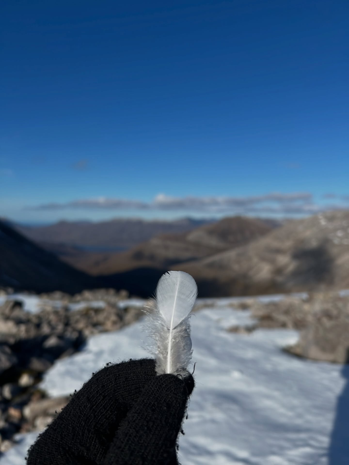 Leaving Scotland with some great memories and a ptarmigan feather 🪶
Swipe to see the poos of all four grouse species found in Britain - top to bottom: red, black, ptarmigan, capercaillie - and a rock flipping the bird 🦅
Thanks for having me @poppyhole !