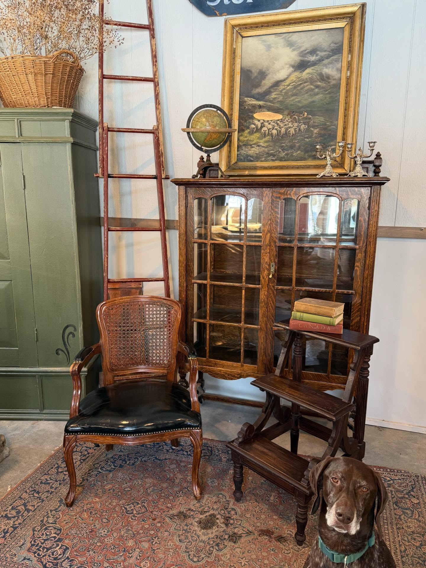 Another picture of our latest collection of Antiques as requested…. With full pictures of the individual items and dimensions below…..(please note that the Cabinet is currently at our old Shop for viewing)
Quarter Sawn Oak 3 sided Glass Cabinet
44 x 59 x 15.5D
Victorian Library Steps
31.5T x 18W x 19.5F
Black Leather Cane Back Chateau Chair
33.5T x 24W x 14.5D
1900’s Antique Gold Frame Sheep Flock Picture
35.5T x 30W / 🍄SOLD
Rare 8”Terrestrial Globe 1917 on Cast Stand 🍄SOLD
GSP Goose Dog - “priceless”….lol
Please DM for pricing.
#antique #antiquehome #vintage #vintageinspired #fleamarketfinds