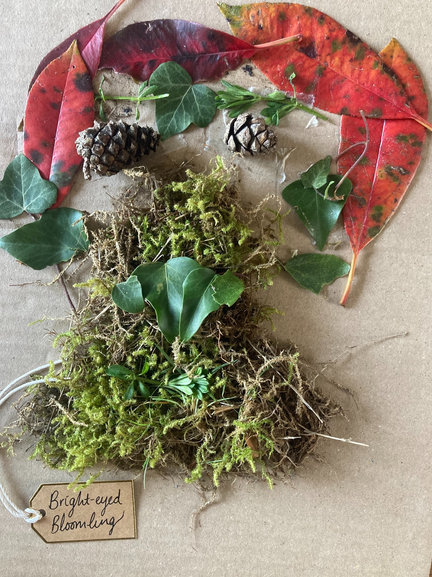 Celebrating World Book Day Nightingale Cottage style!
Tolkien & Shakespeare-inspired mythical characters 🧚♂️🍂