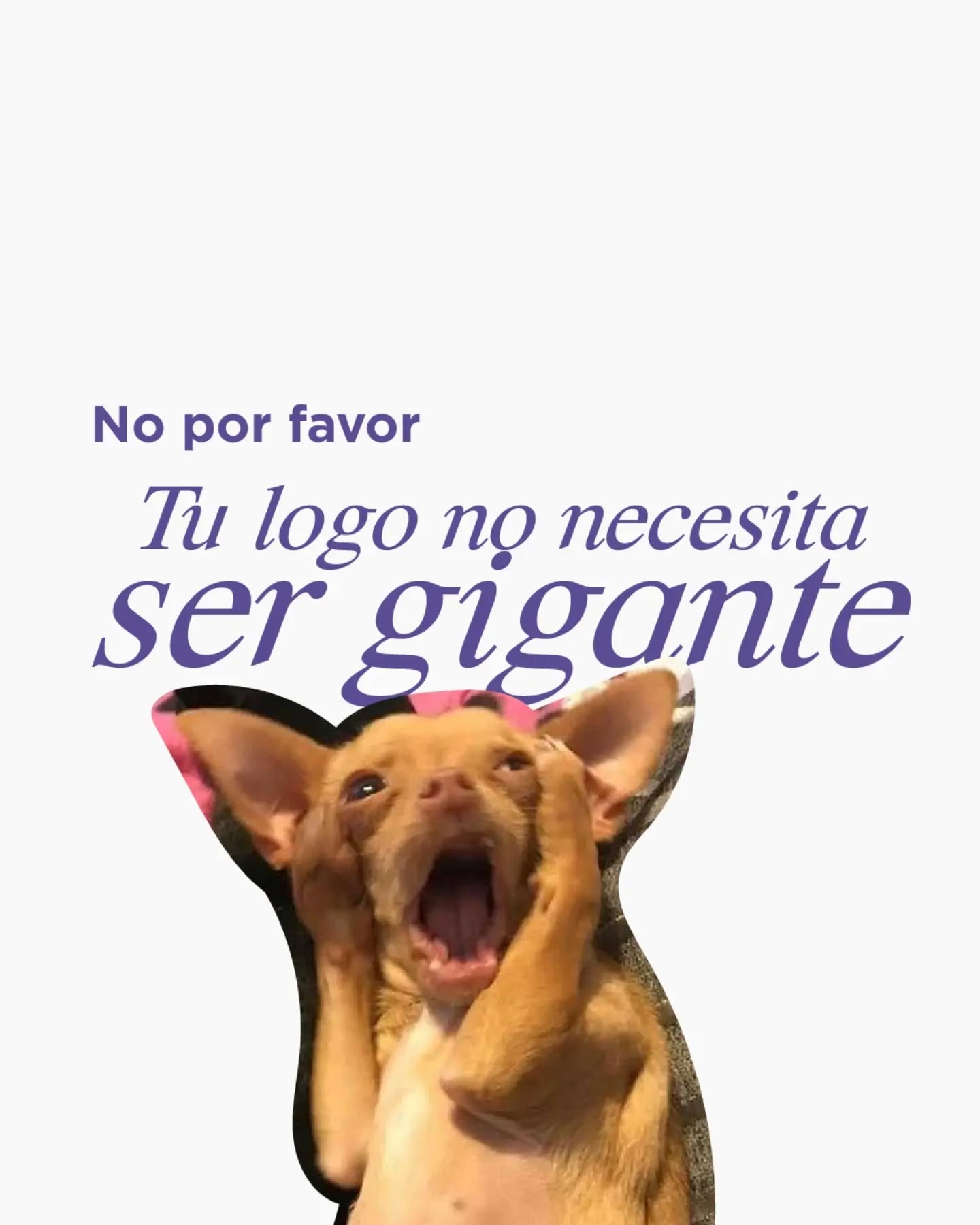 Sería millonaria si me dieran 1 peso cada que escucho "haz el logo más grande" por que no, tu logo no necesita ser más grande para que tu marca se haga notar. Necesita tener una identidad.
Porque si no tiene esto la verdad es que solo tienes un logo. No tienes ni un branding ni una marca. 💔
¿Qué opinas de esto? Change my mind.
#identitydesign #brandinghowto #tipsdeemprendedores