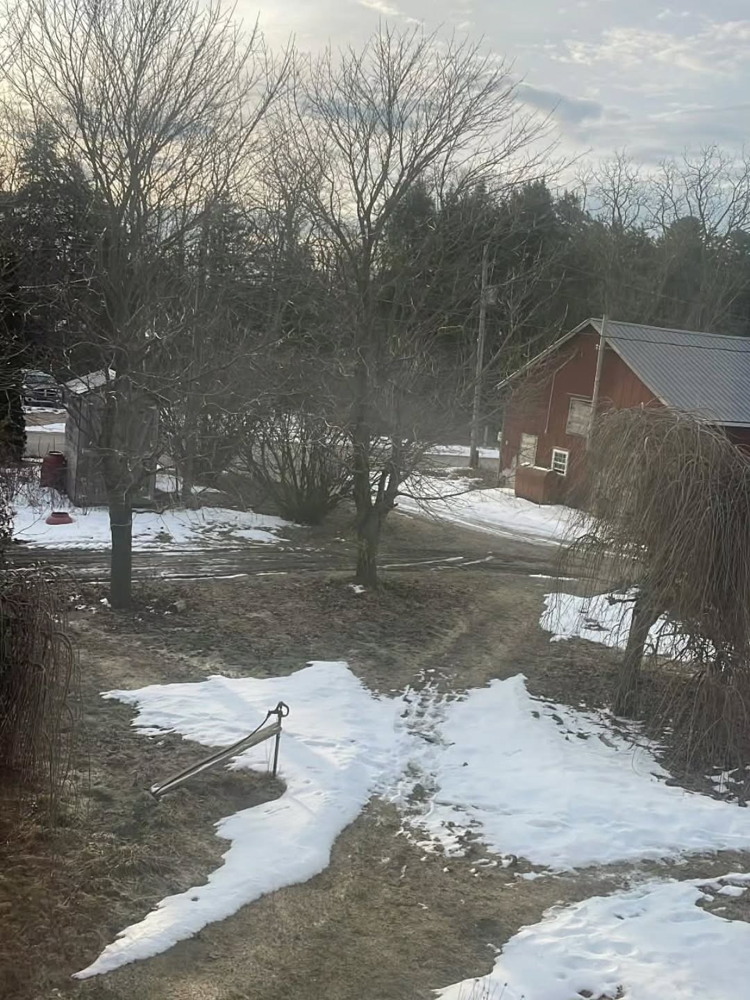 Our new morning view ✨️ #Yemayanaturalproducts #farmtoskin #canadian #Ontario #straffordville