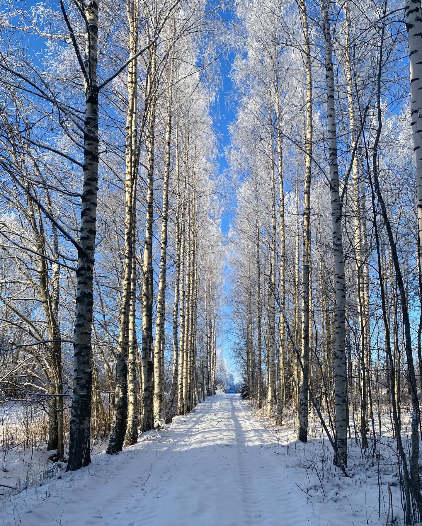 alkuvuoden arkea ja seikkailuja