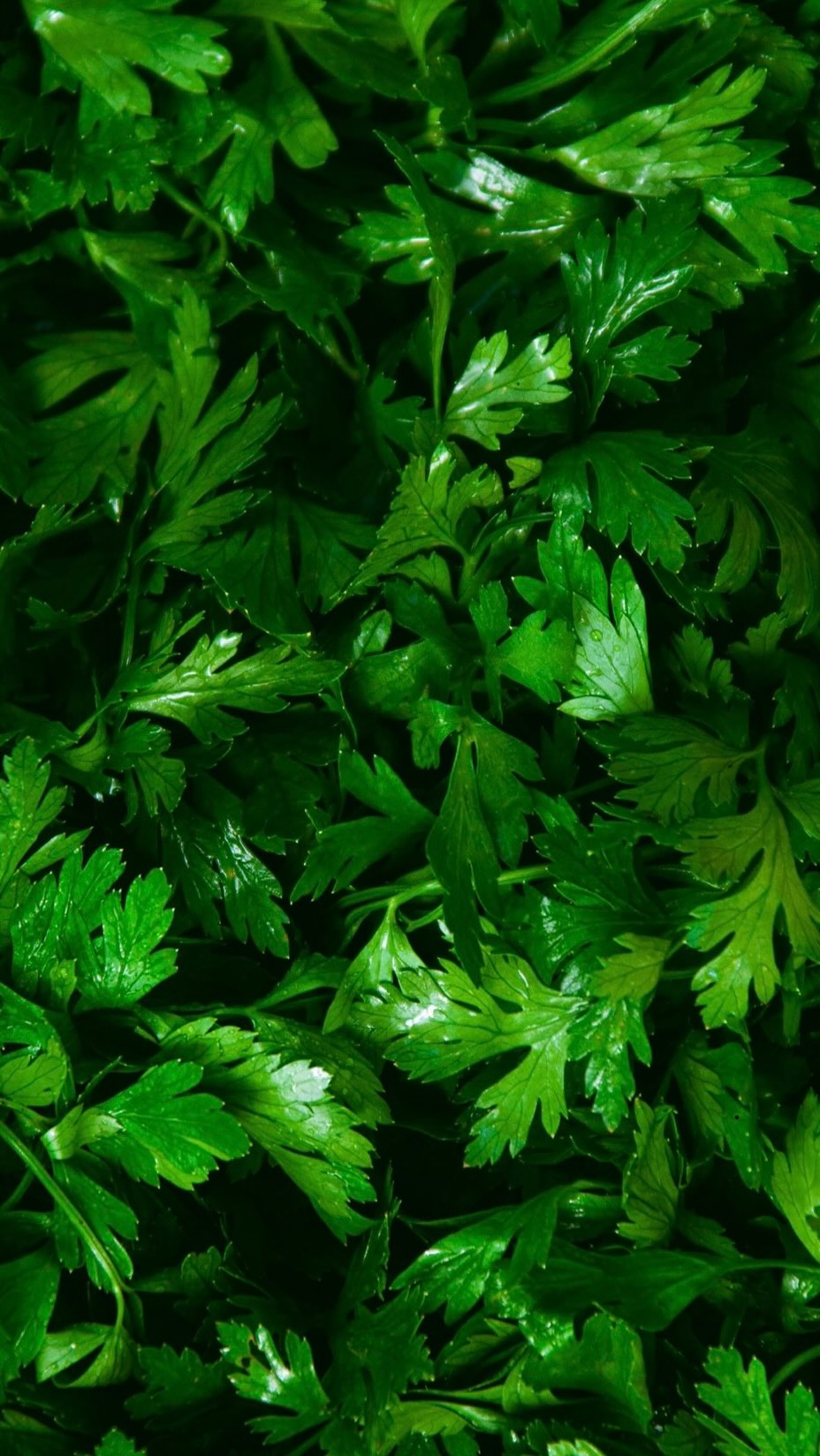 Krájím, krájíš, krájíme. 🔪🌱
Přípravy v plném proudu.
Jaká surovina se Vám krájí nejhůř?
😅
#catering #raut #bezubrusu #lokalni #prep