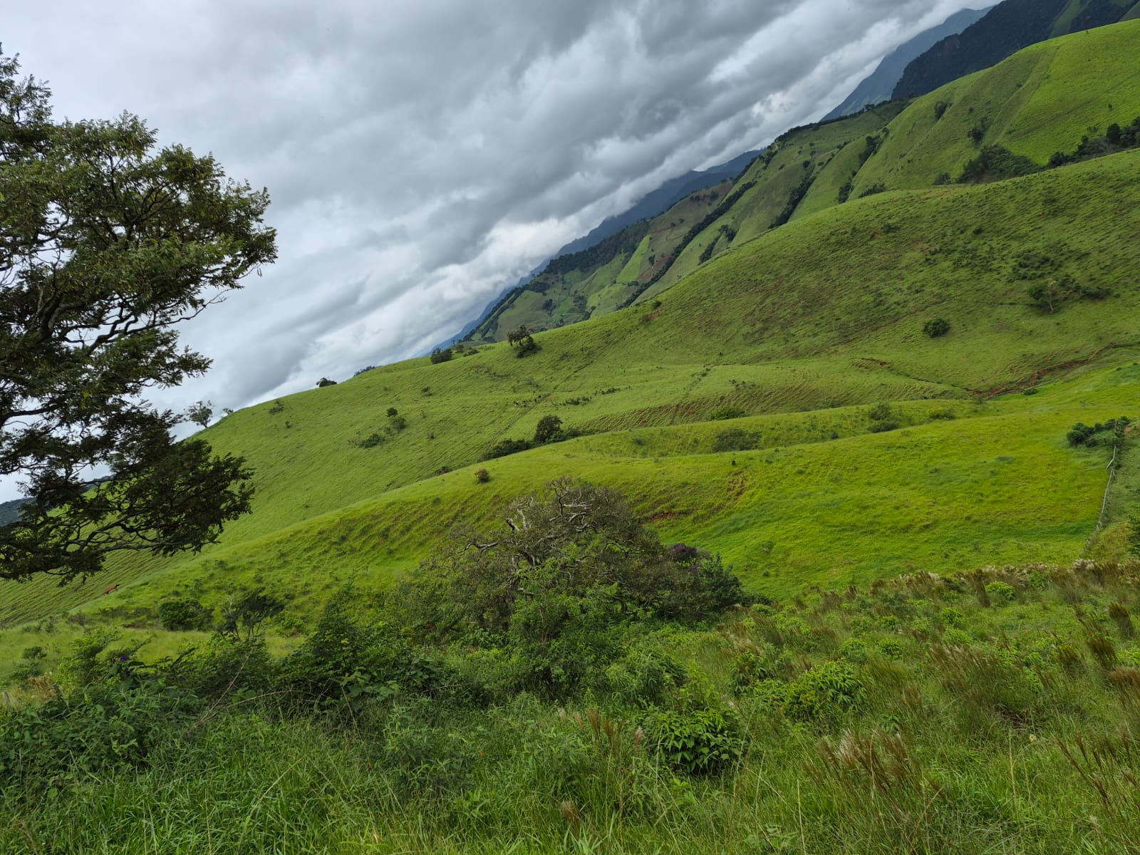 O refúgio perfeito entre águas cristalinas e ar puro! 🌿
Procurando sossego e abundância de água? Este sítio de 5,3 hectares no Bairro Barreirinho em Delfim Moreira MG é uma verdadeira joia rara.
Riqueza Hídrica: Várias nascentes (já protegidas e cercadas) e um riacho sereno que corta o fundo da propriedade.
Pronto para Construir: Já conta com um platô iniciado em local estratégico, economizando tempo e investimento na sua obra.
Privacidade: Localização tranquila e solo fértil.
💰 Investimento: R$ 560.000,00
Agende sua visita e sinta a energia desse lugar!